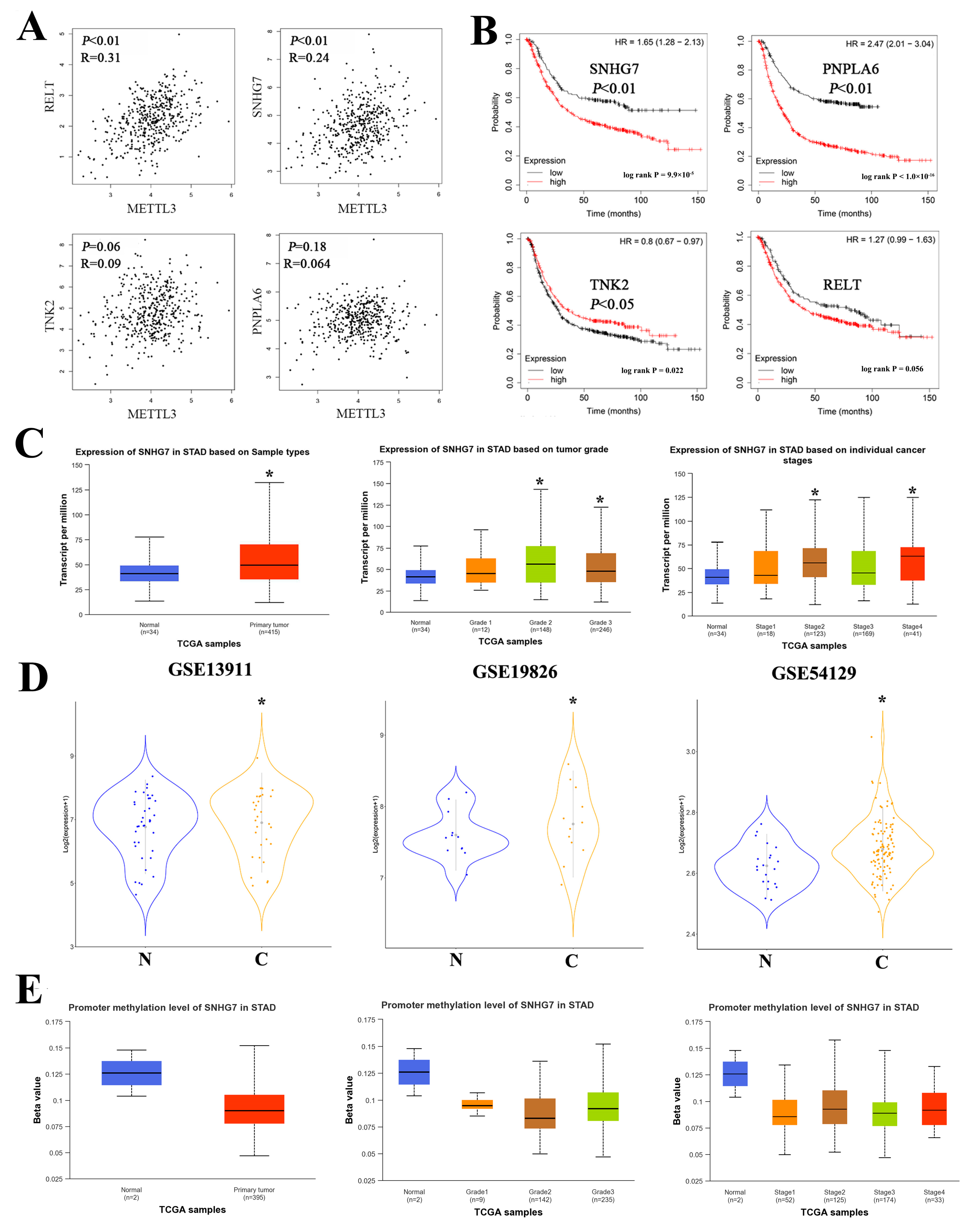 Toxics 11 00944 g006