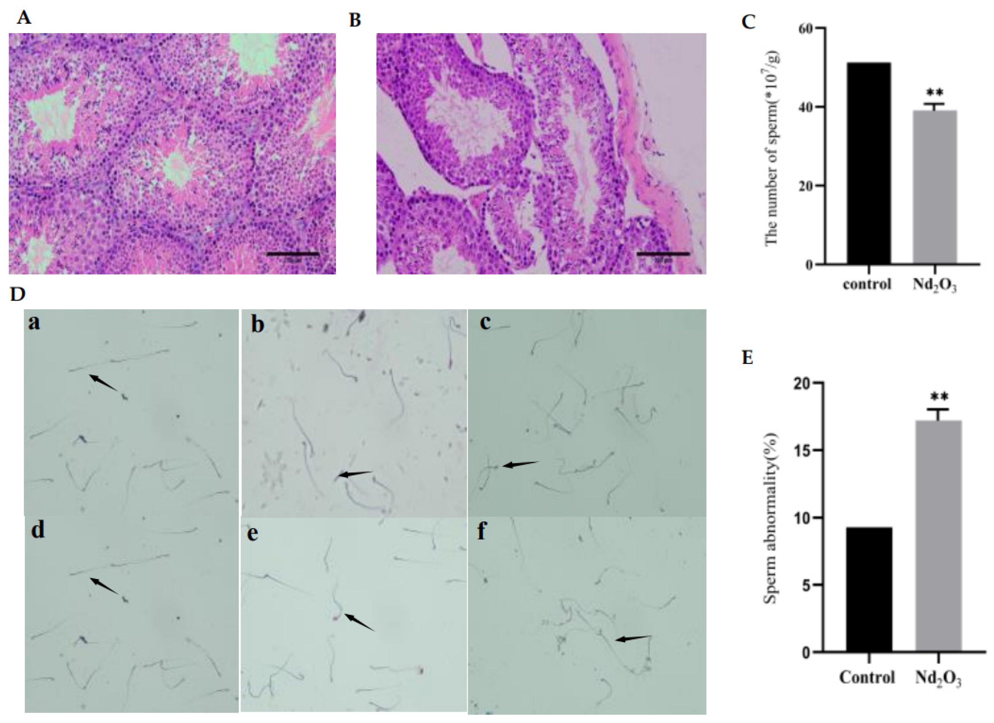 Toxics 11 00952 g001