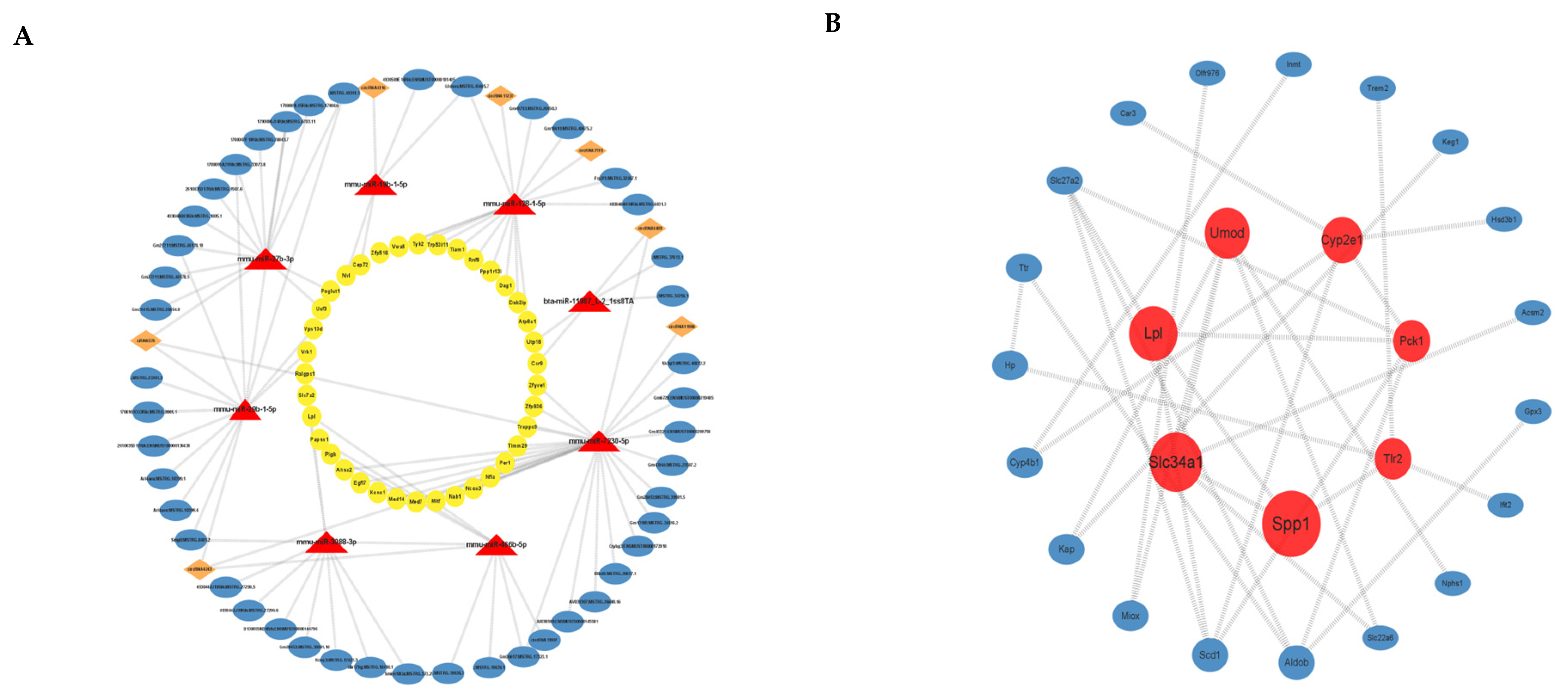 Toxics 11 00952 g004
