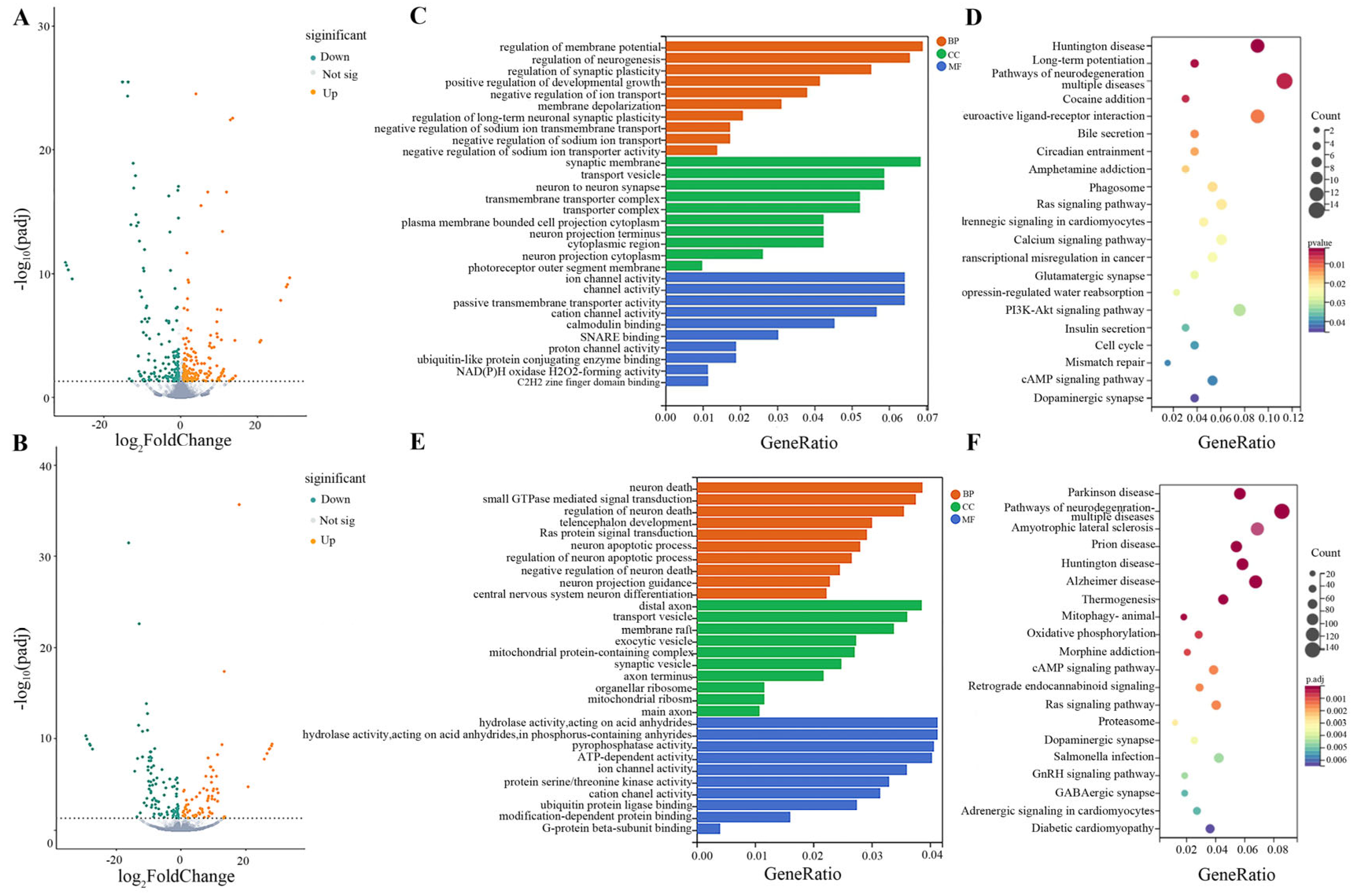 Toxics 11 00953 g004