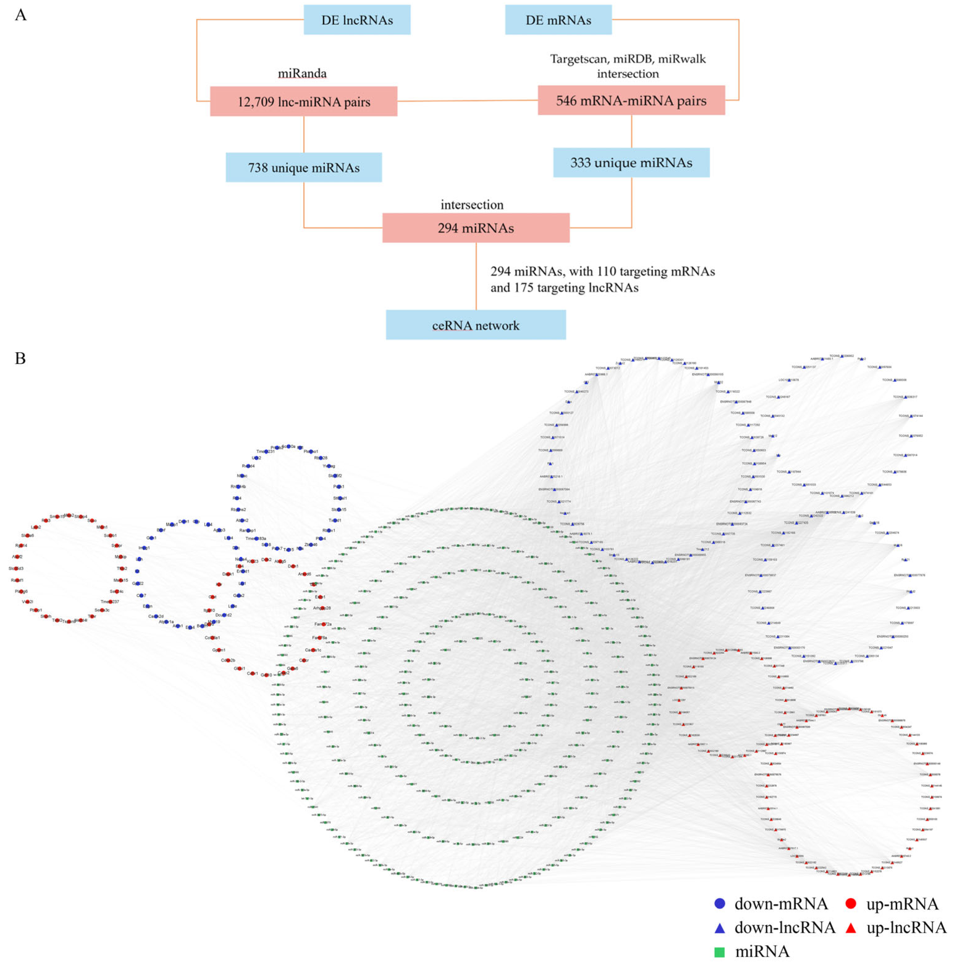 Toxics 11 00953 g005