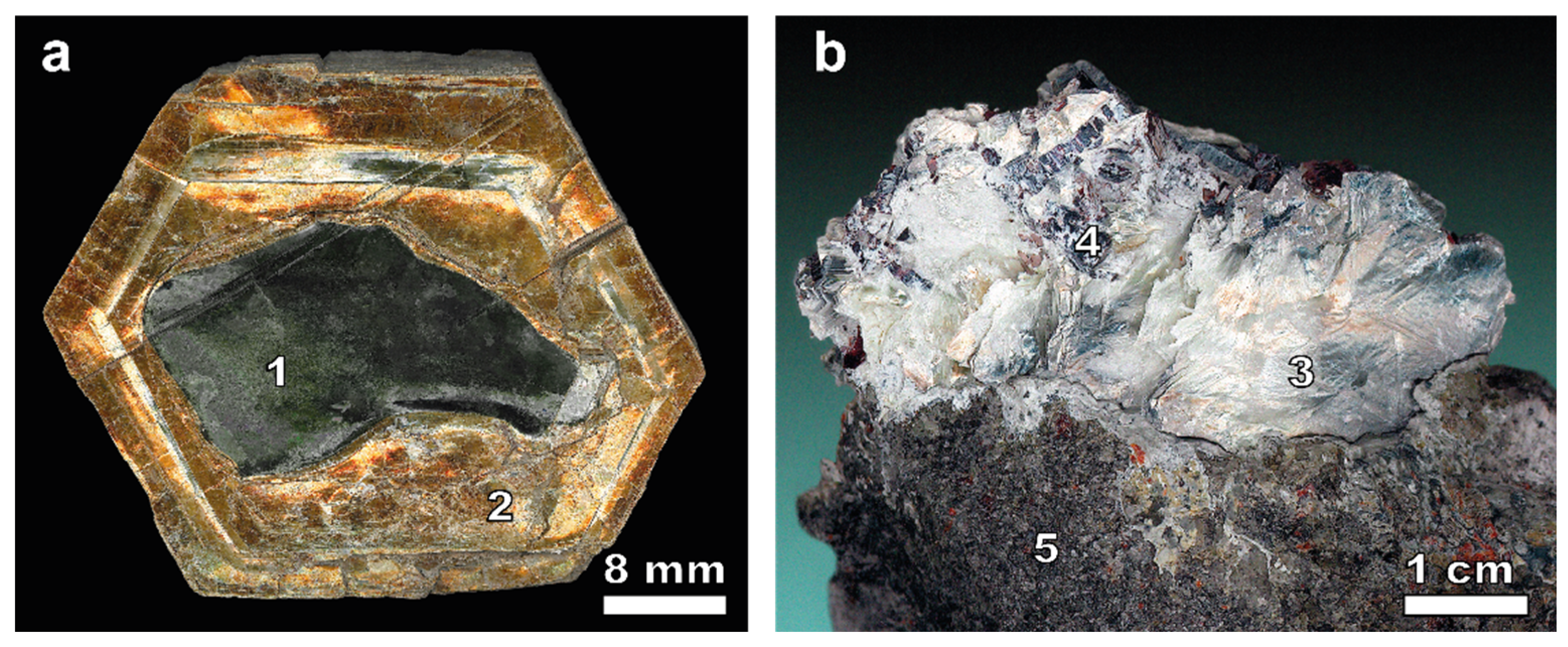 Toxics 11 00957 g002