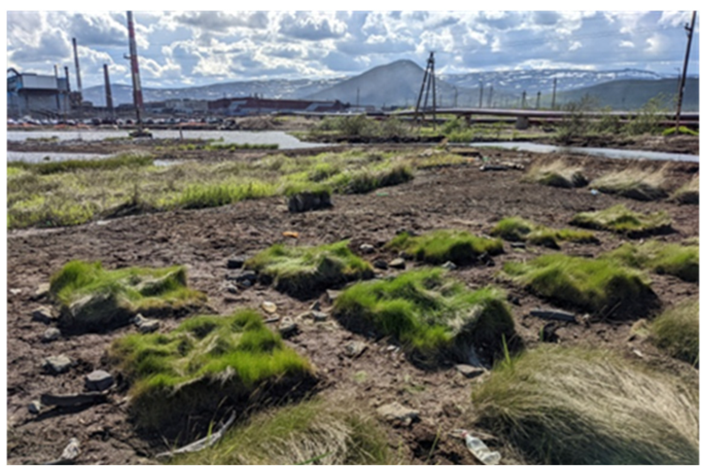 Toxics 11 00957 g003