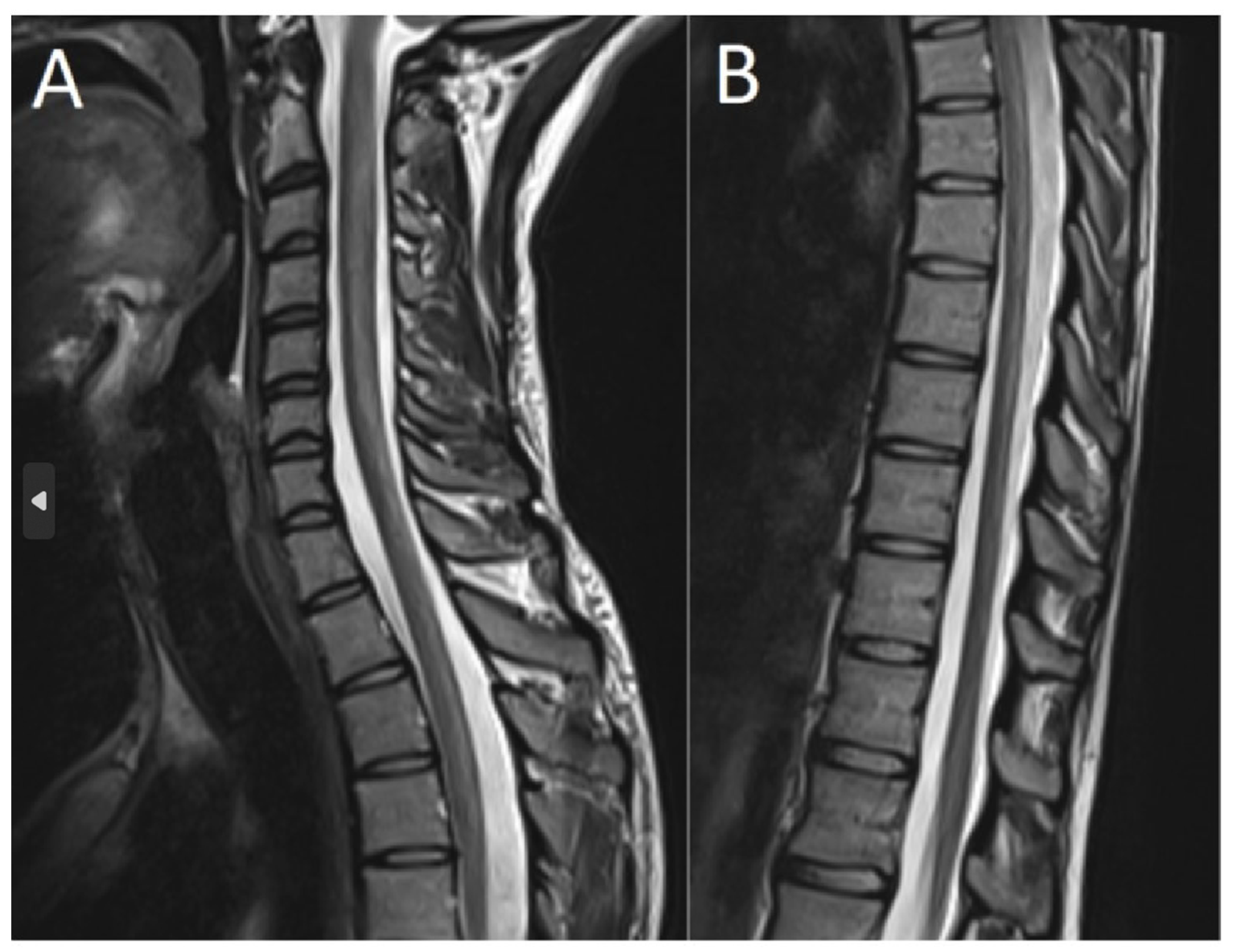 Toxics 11 00959 g002