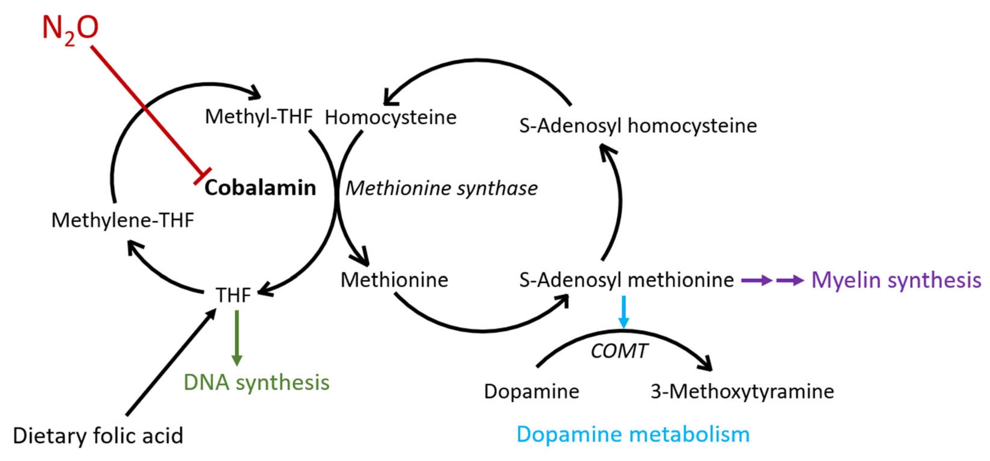Toxics 11 00959 g003