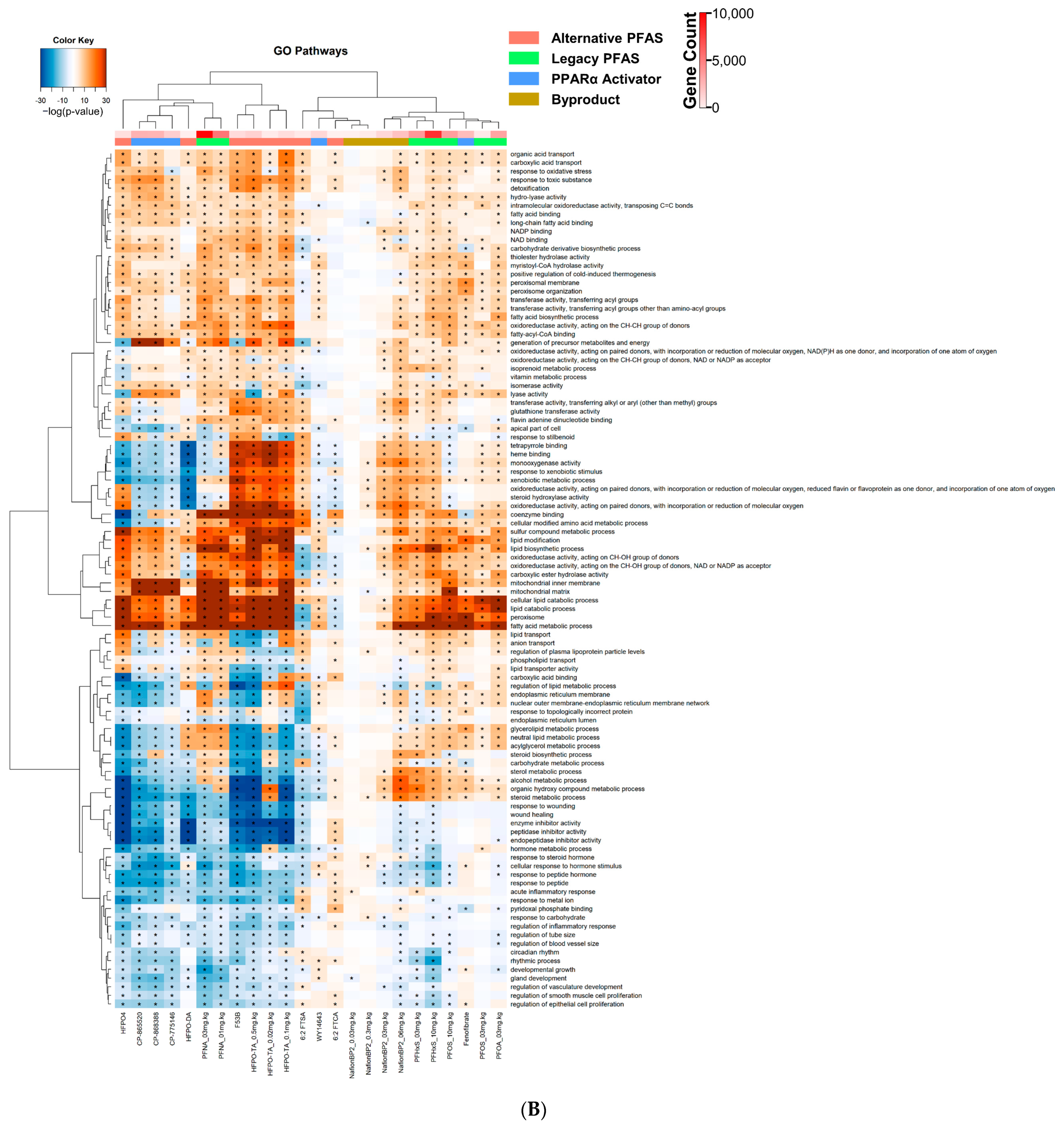 Toxics 11 00963 g002b
