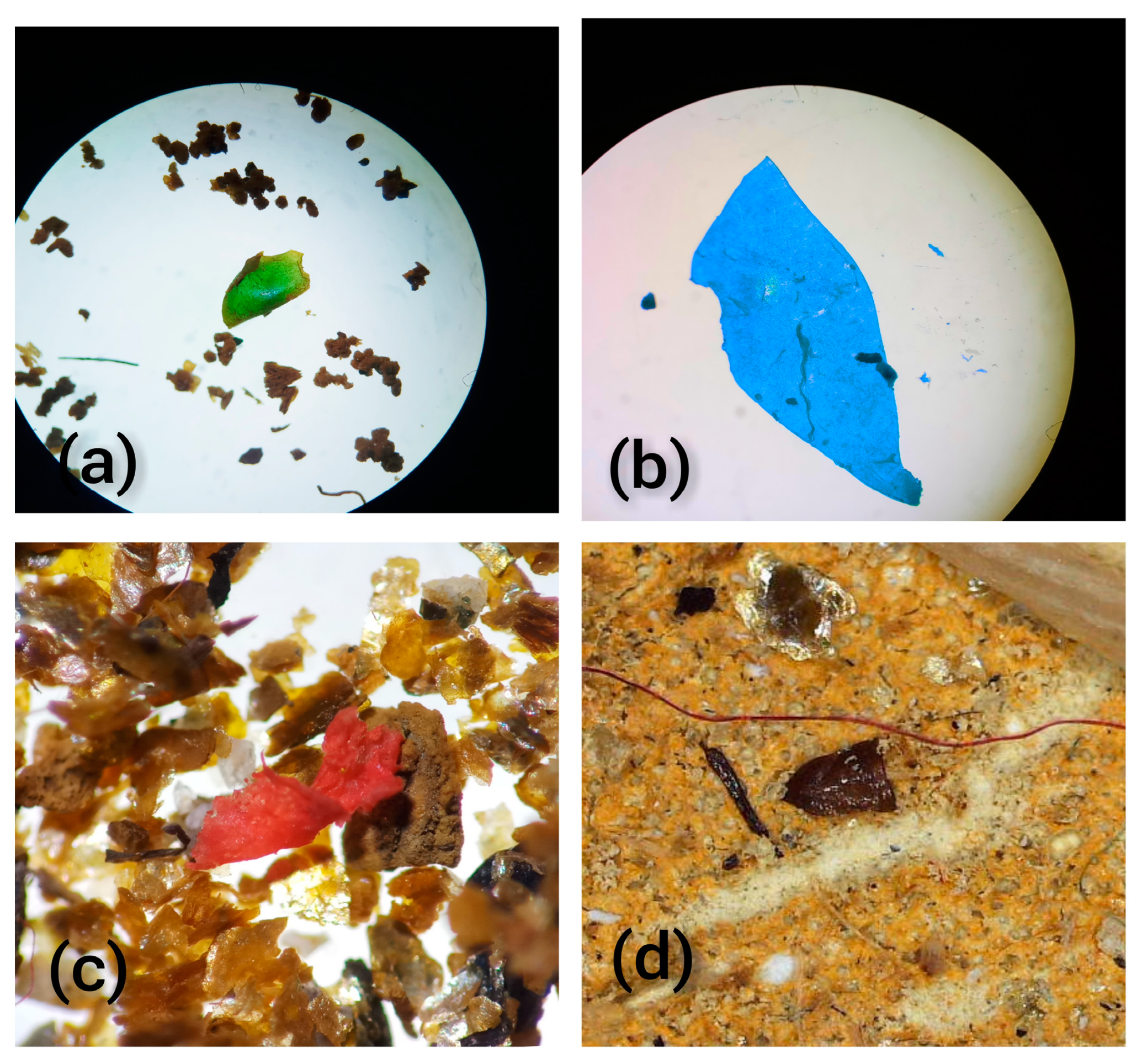 Toxics 11 00972 g003