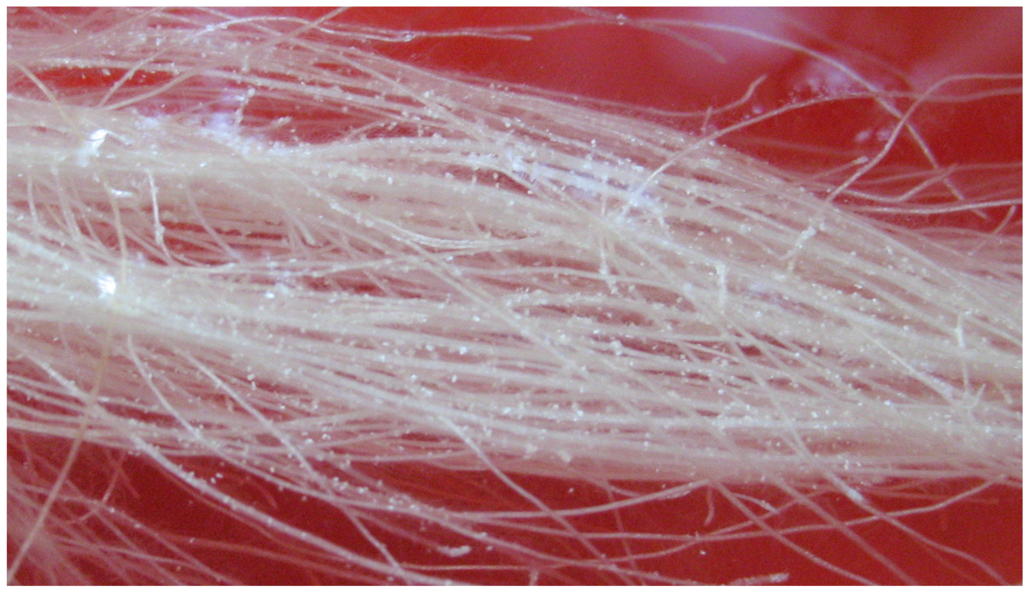 Toxics 11 00977 g002