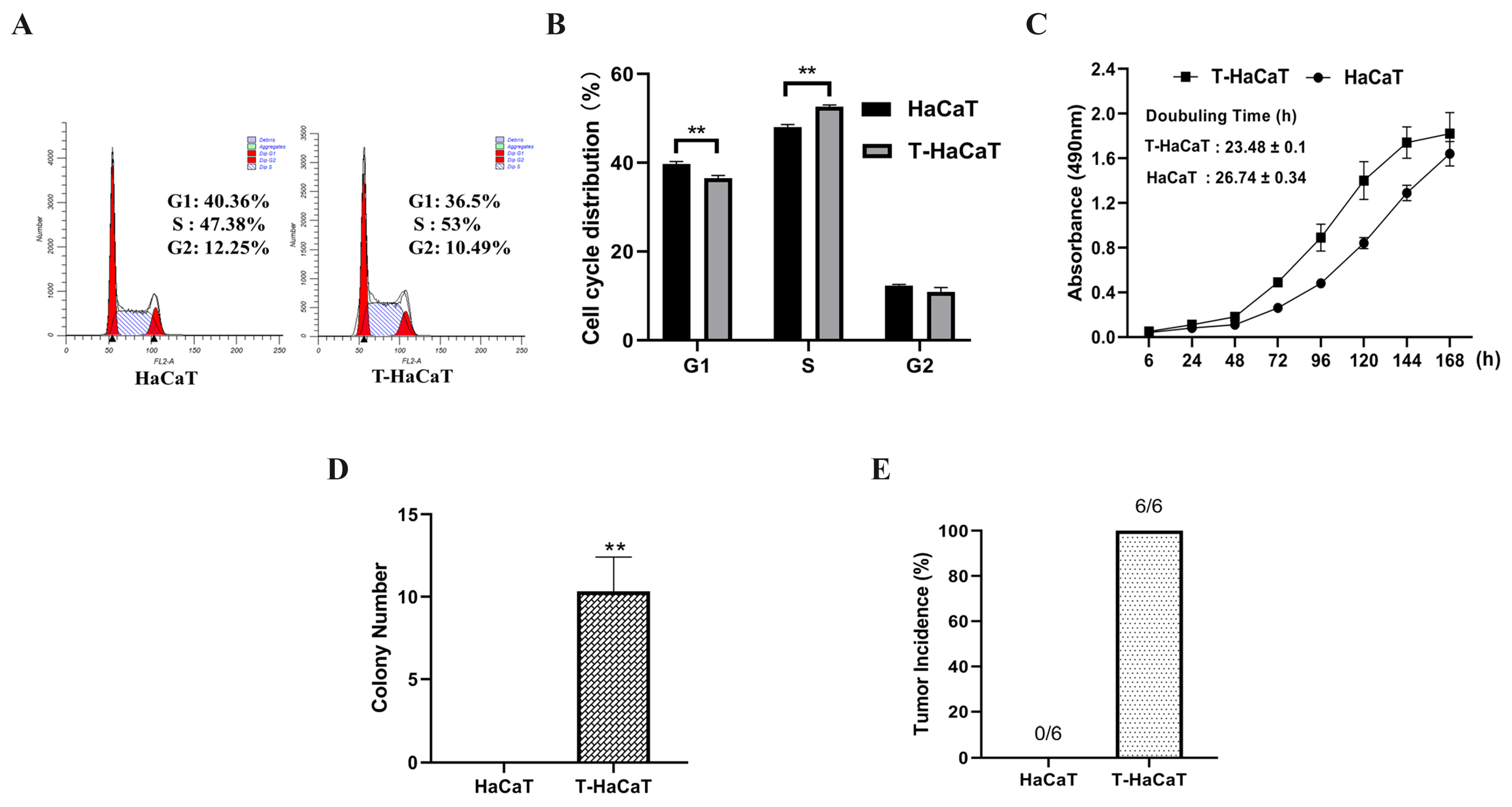 Toxics 11 00978 g002