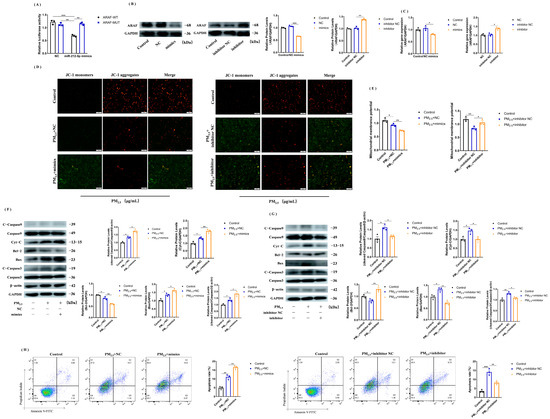 MicroRNA miR-212-5p Regulates the MEK/ERK Signaling Pathway