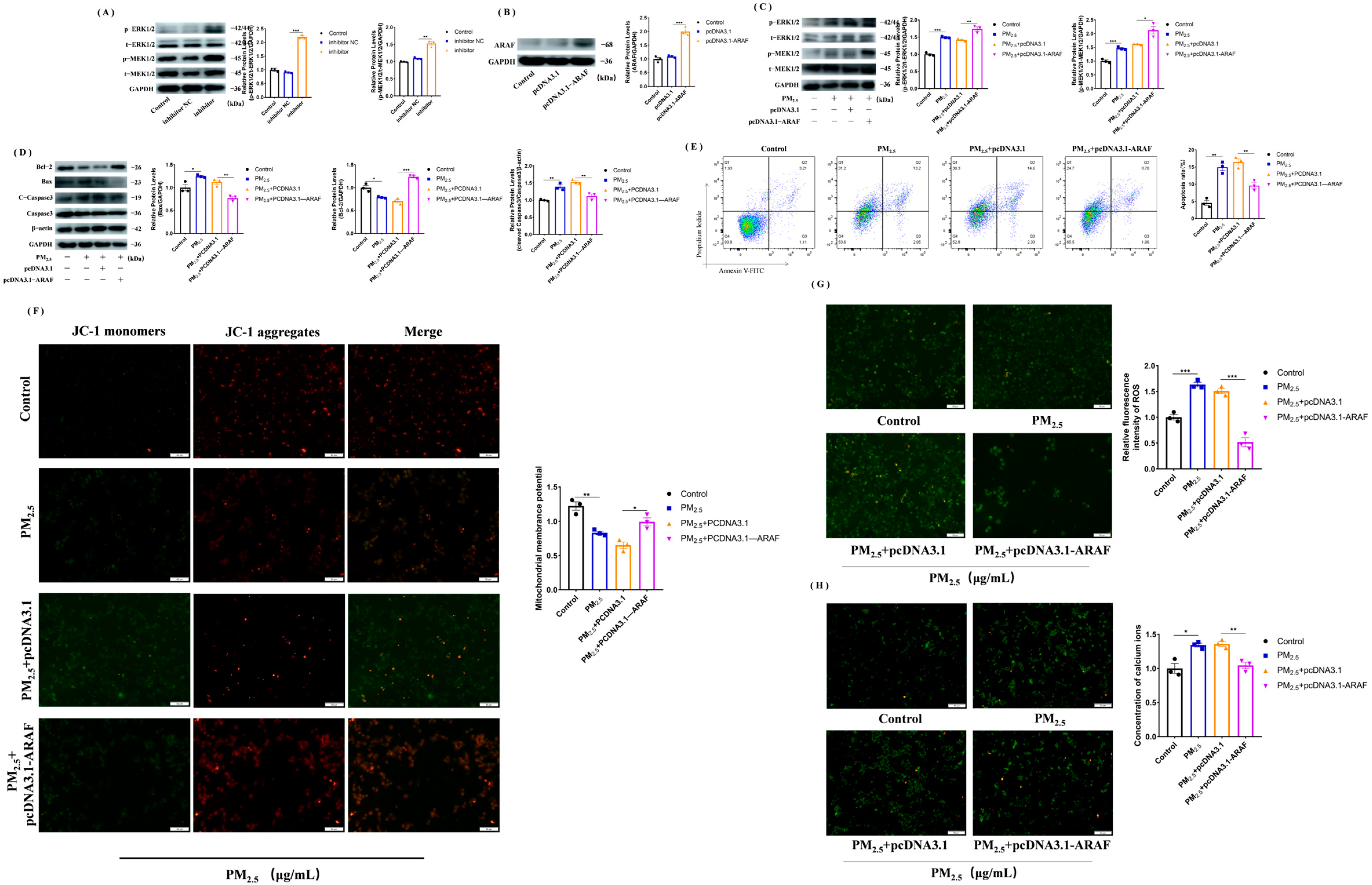 Toxics 11 00981 g005