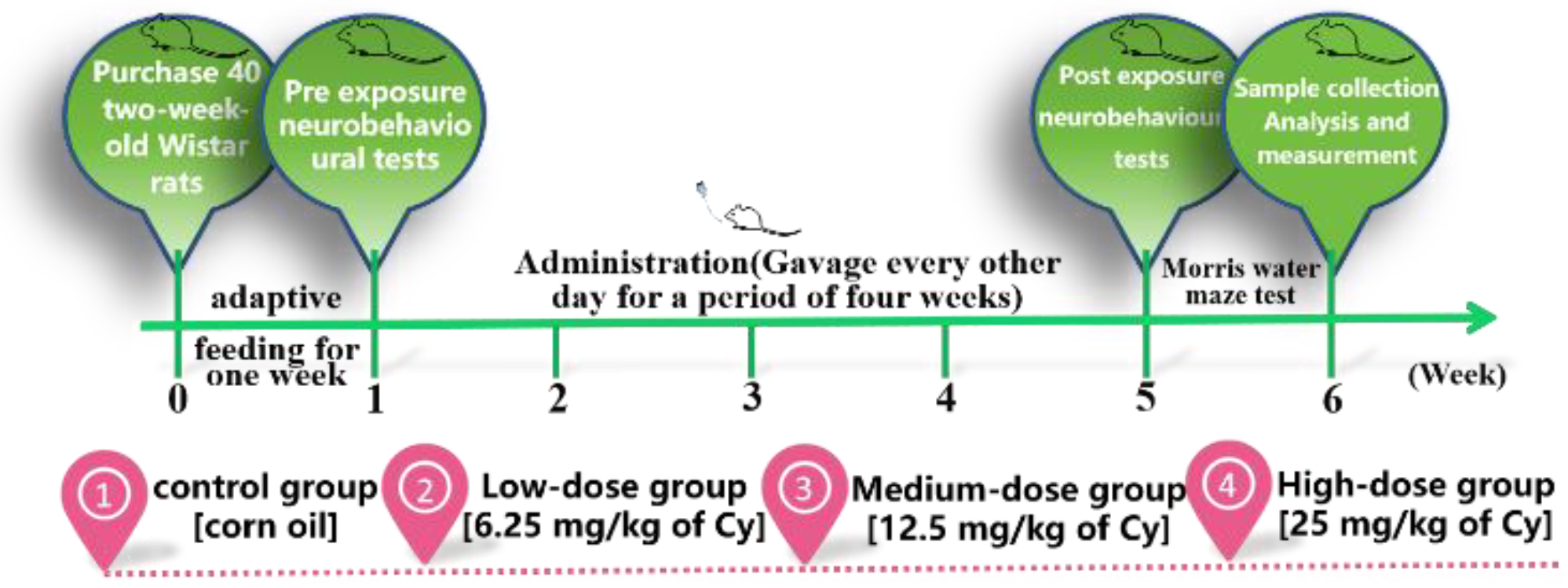 Toxics 11 00999 g001
