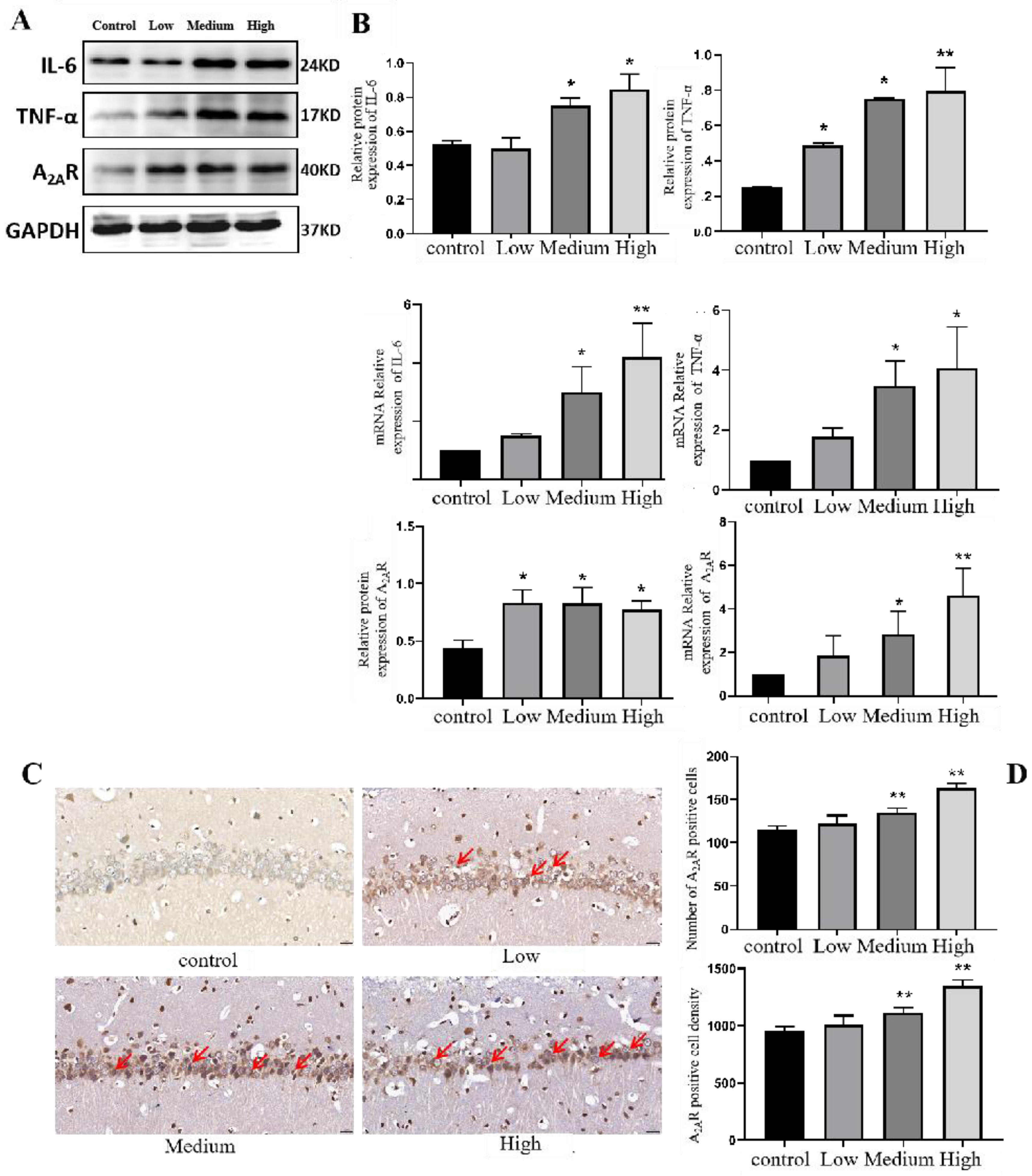Toxics 11 00999 g011