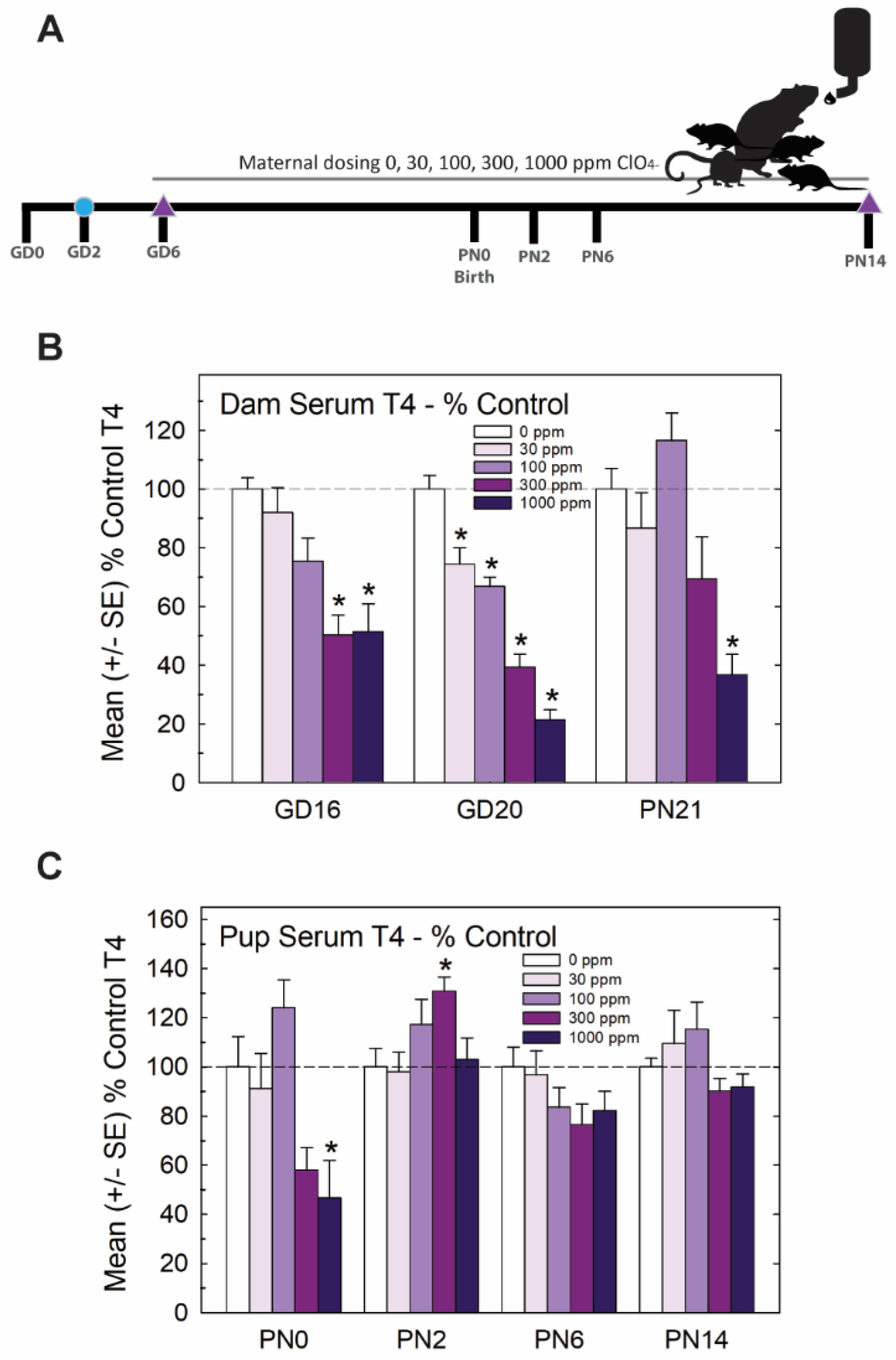 Toxics 11 01027 g001 Toxics 11 01027 g001