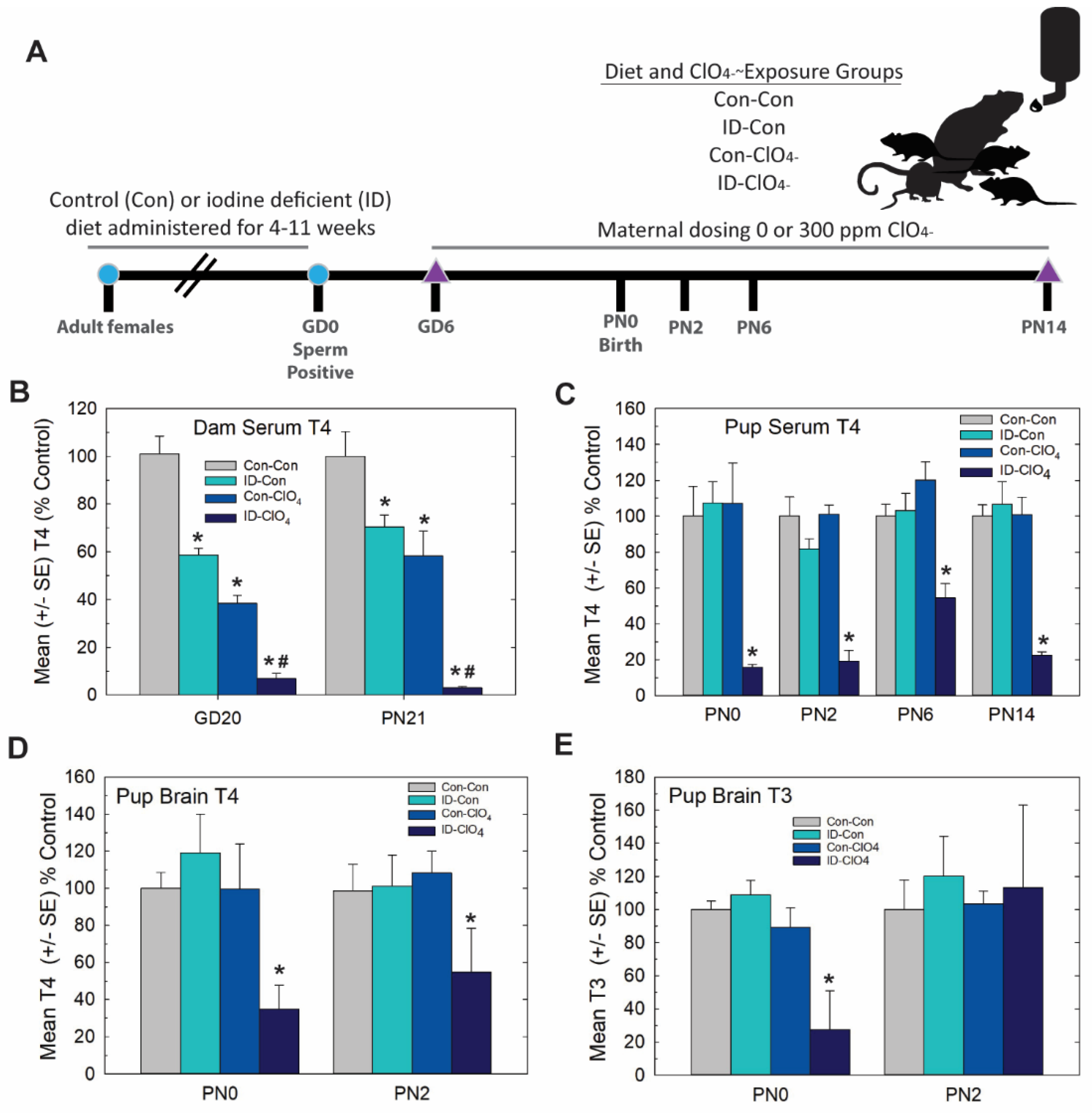 Toxics 11 01027 g006 Toxics 11 01027 g006
