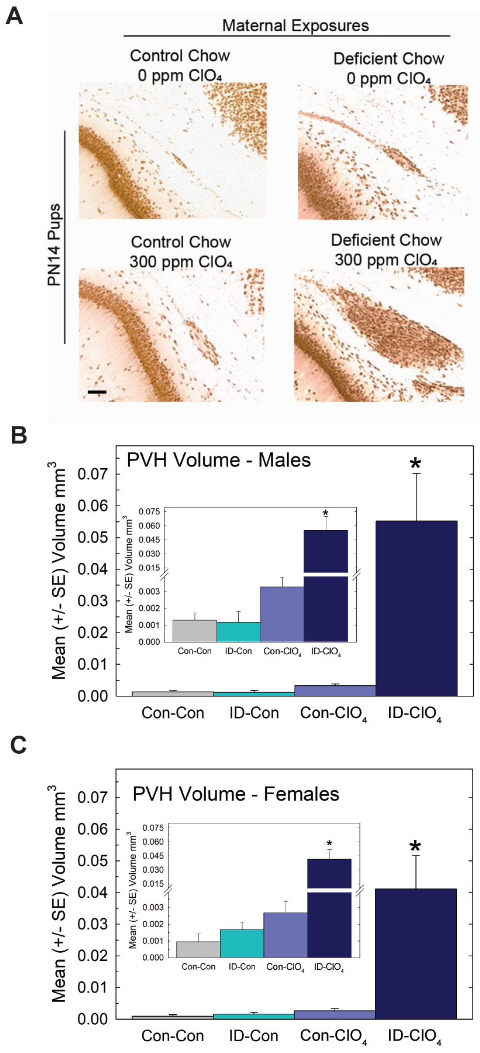 Toxics 11 01027 g007 Toxics 11 01027 g007
