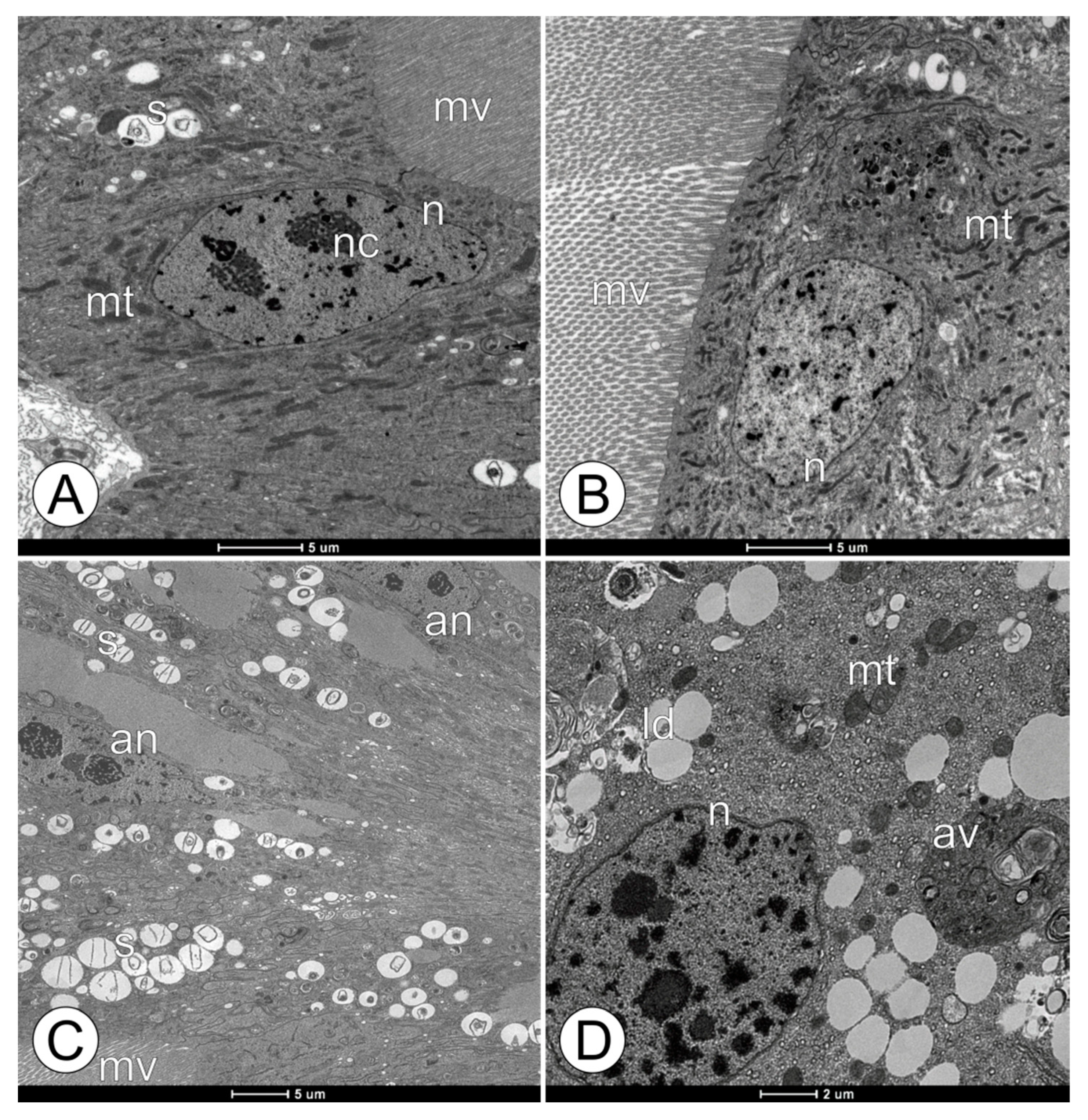 Toxics 11 01028 g002