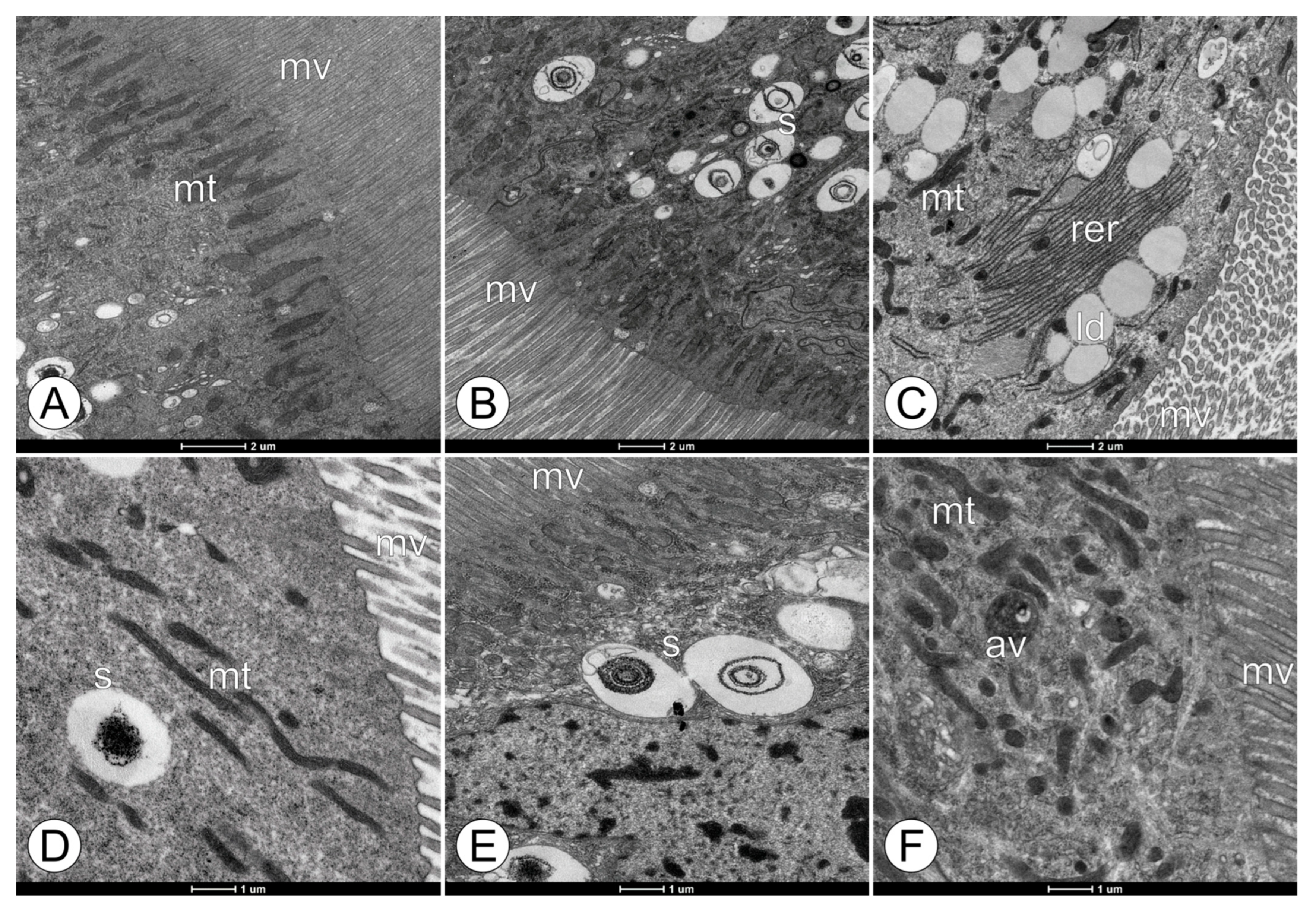 Toxics 11 01028 g003