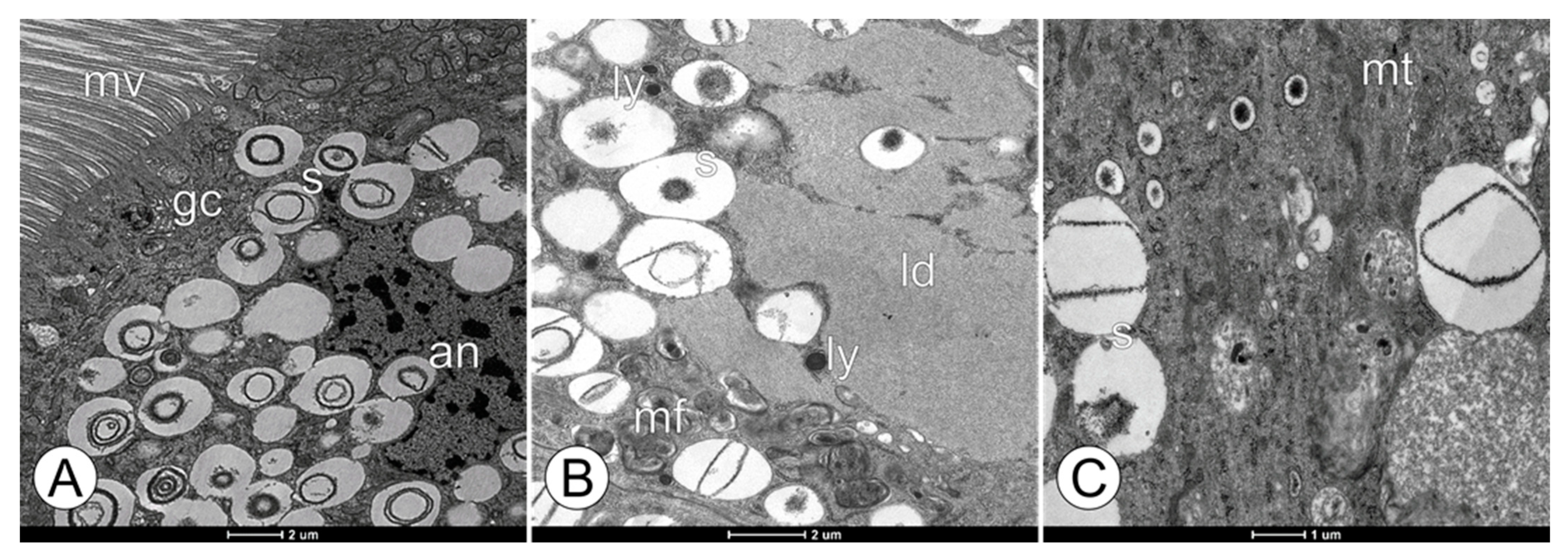Toxics 11 01028 g006