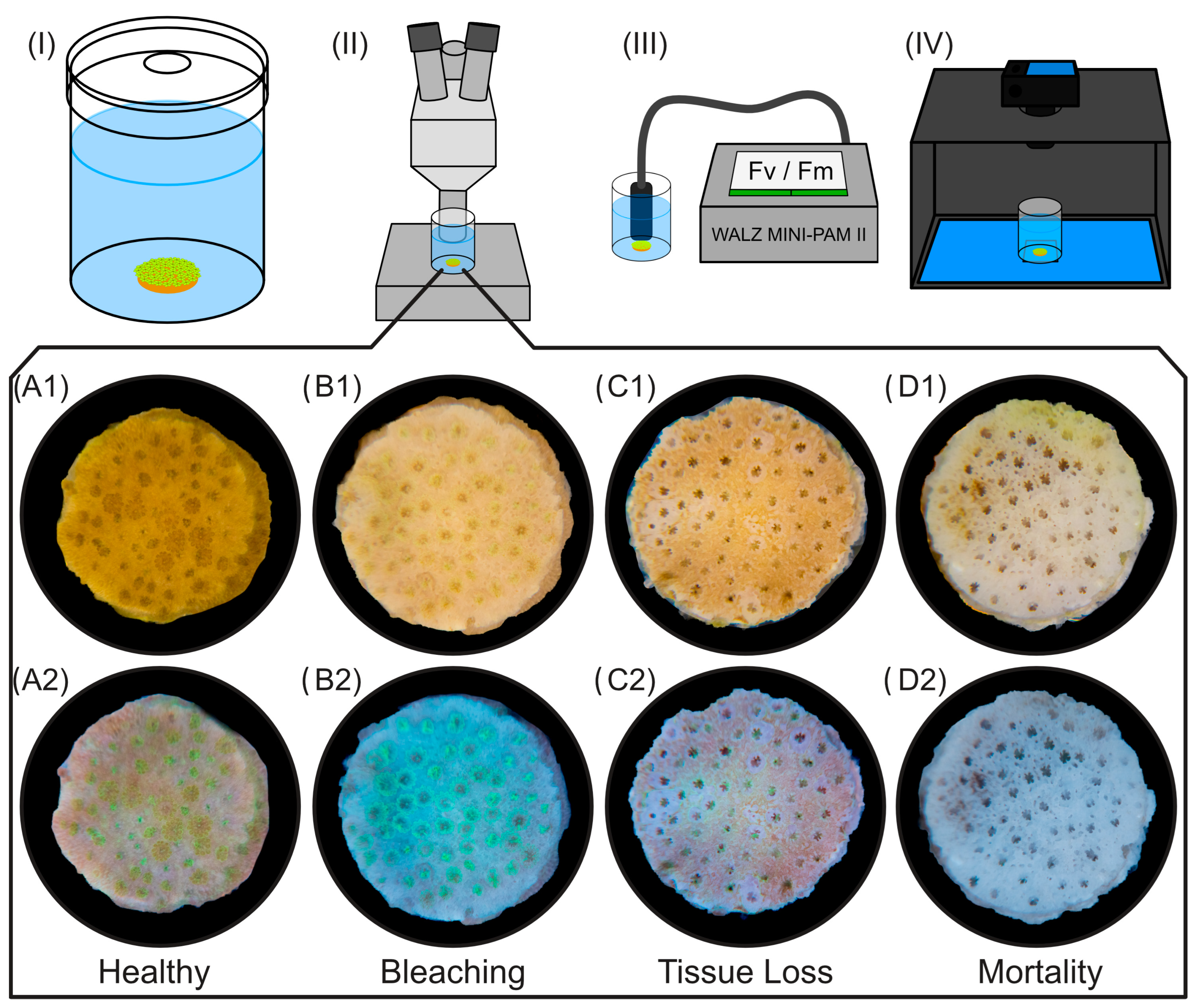 Toxics 12 00001 g001