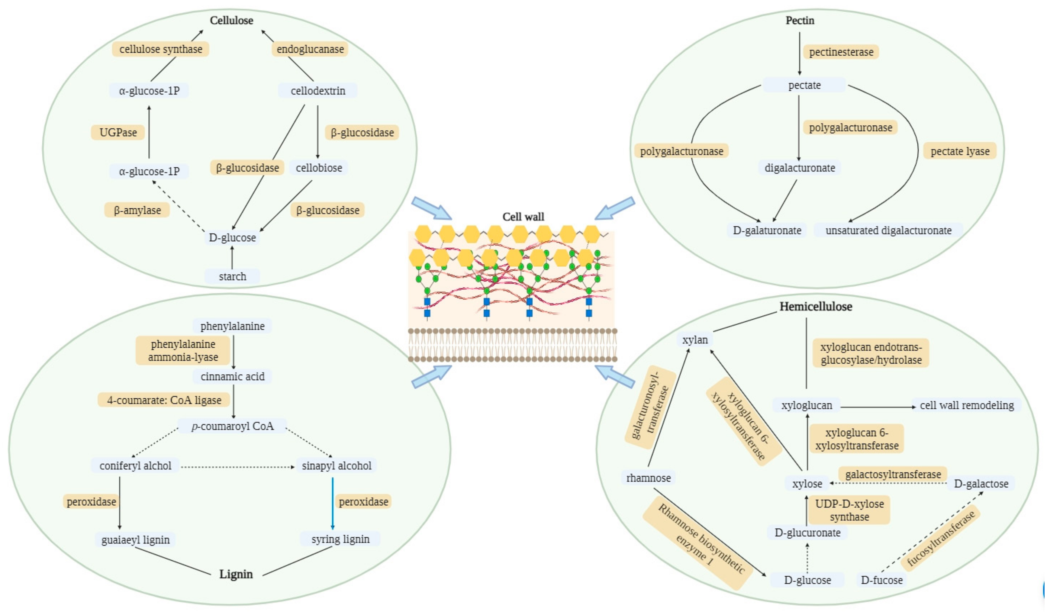 Toxics 12 00004 g001