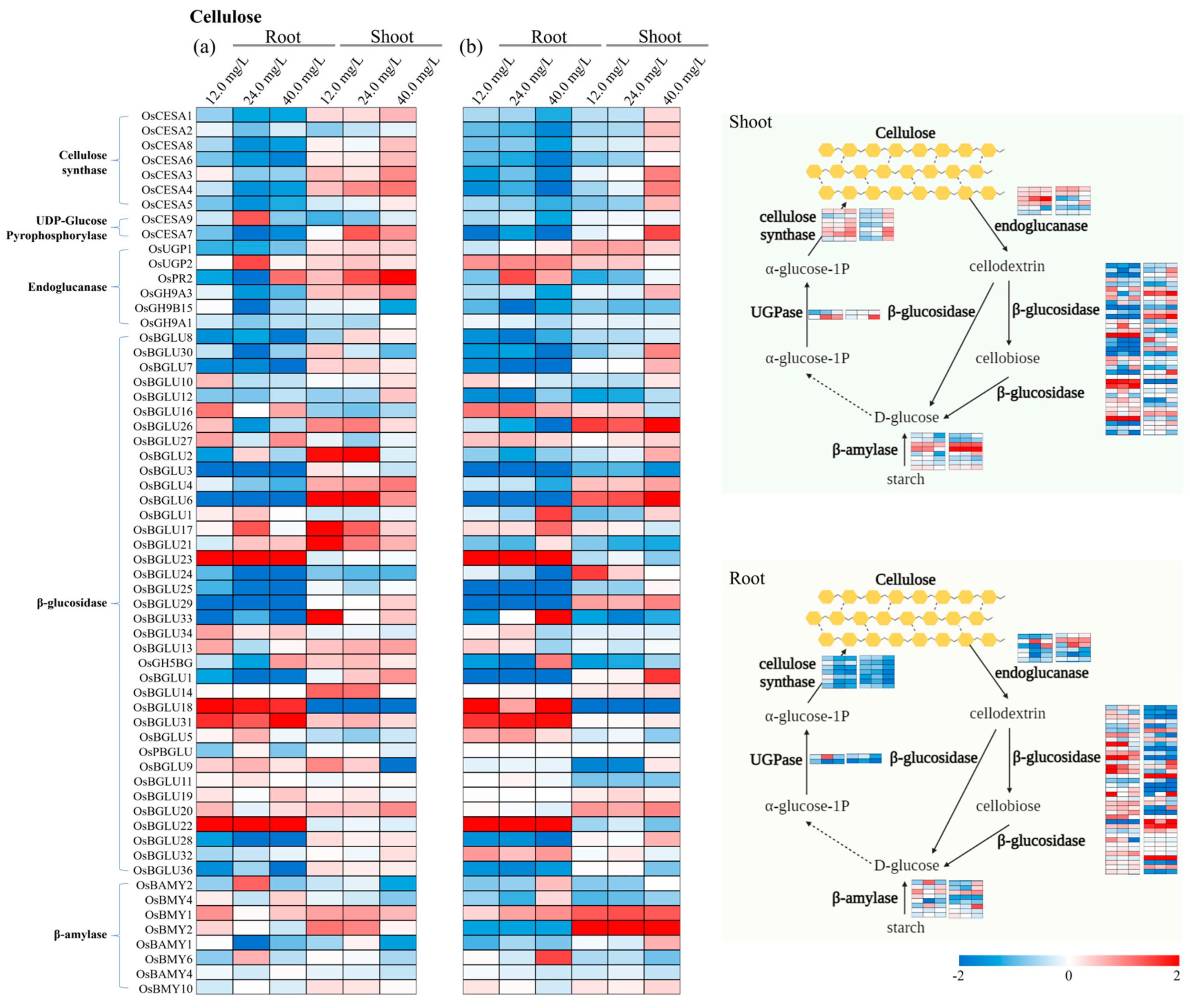 Toxics 12 00004 g004