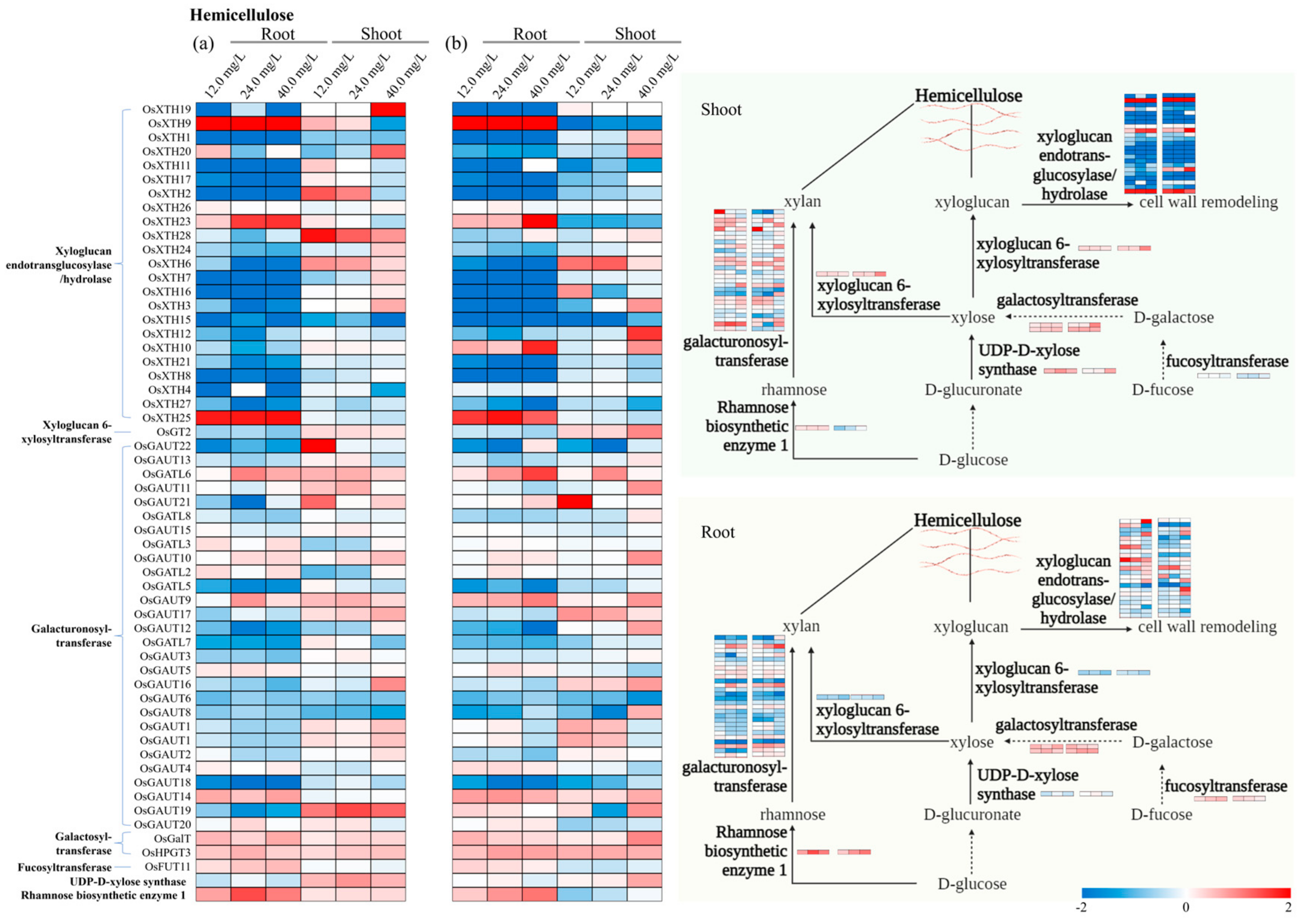 Toxics 12 00004 g005
