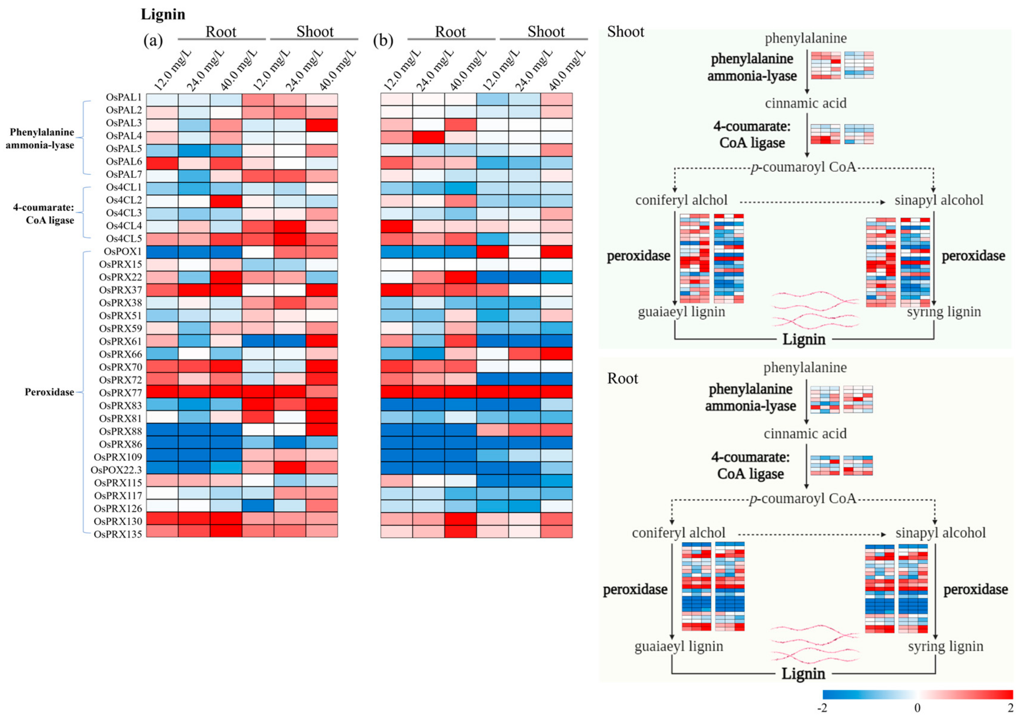 Toxics 12 00004 g006