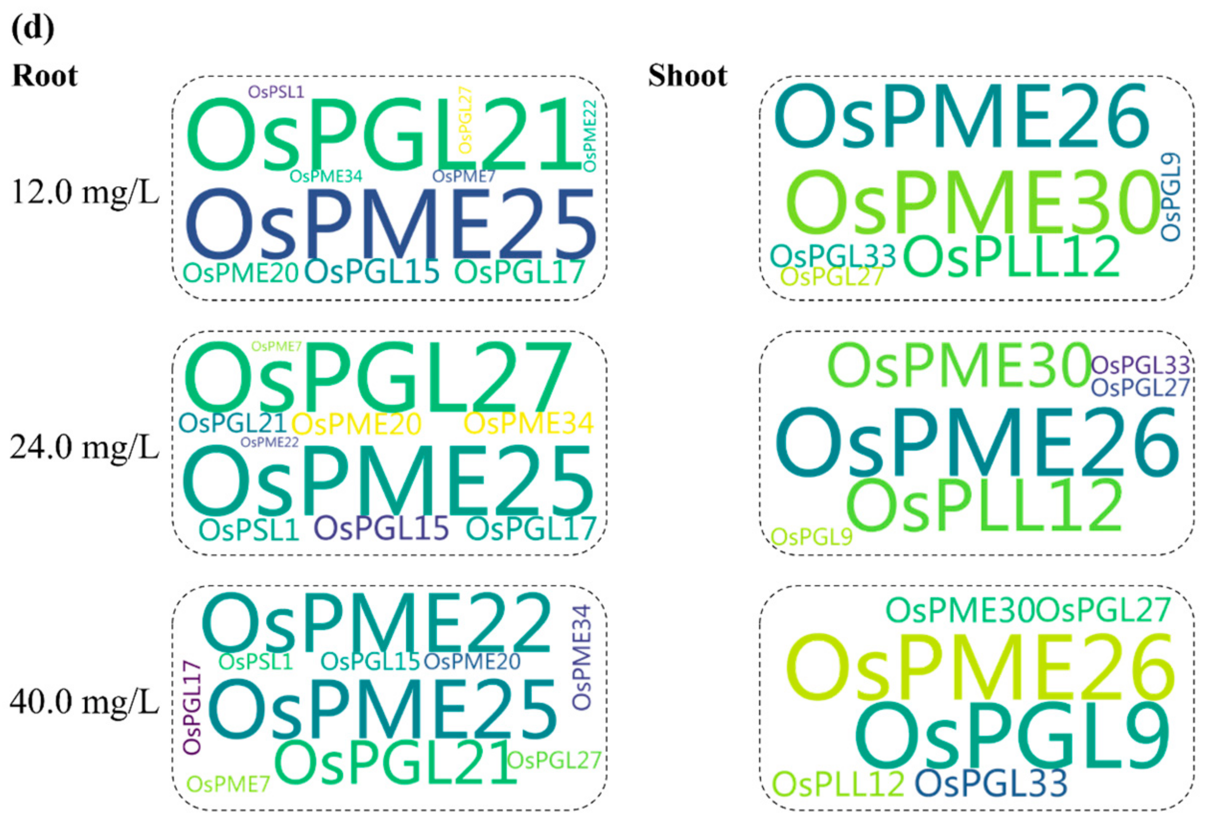 Toxics 12 00004 g008b