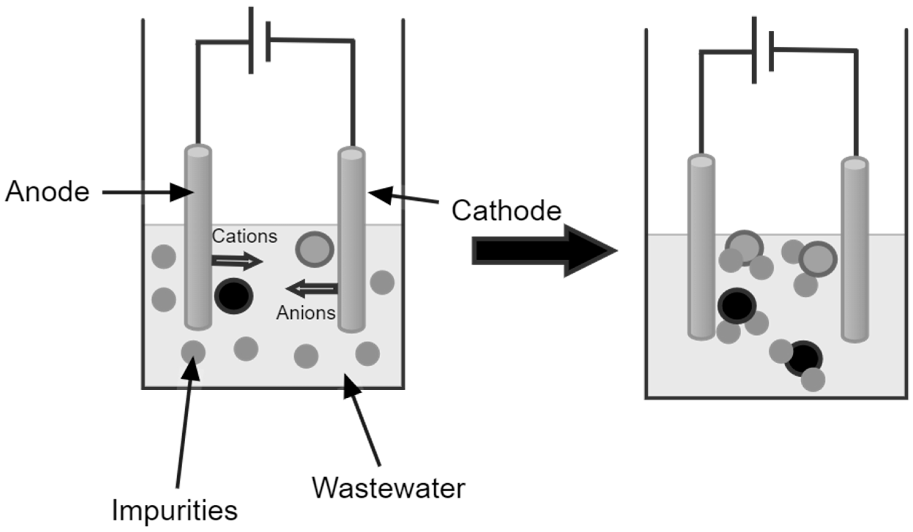 Toxics 12 00012 g002 Toxics 12 00012 g002