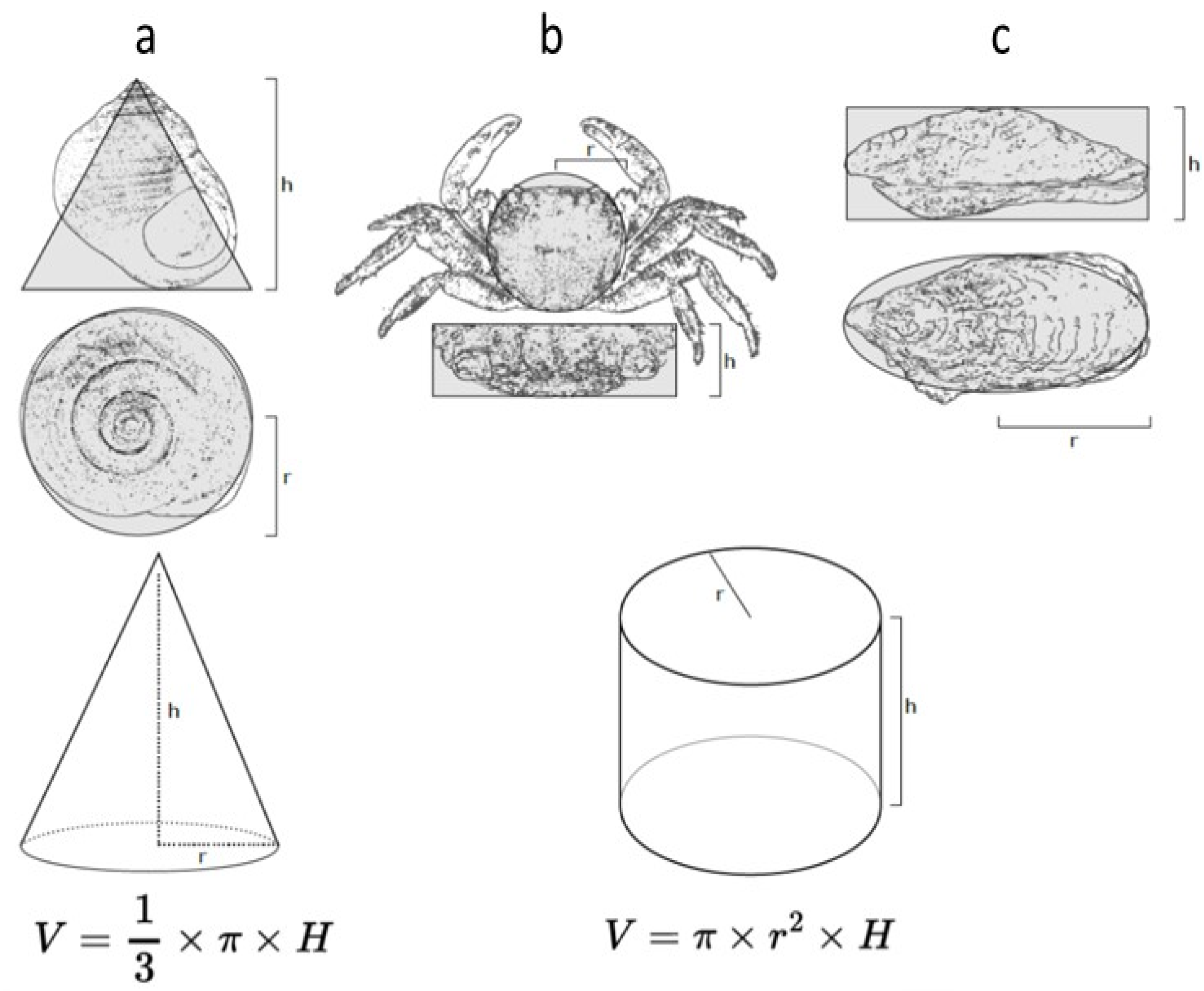 Toxics 12 00029 g002