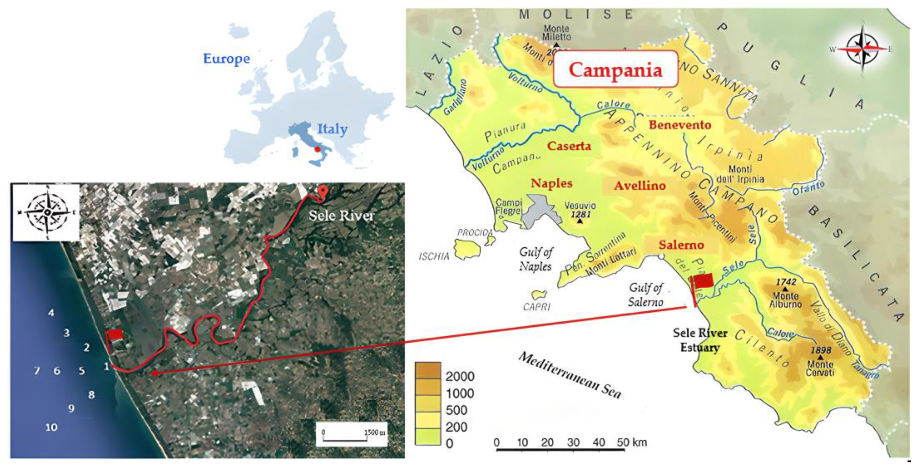 Toxics 12 00038 g001