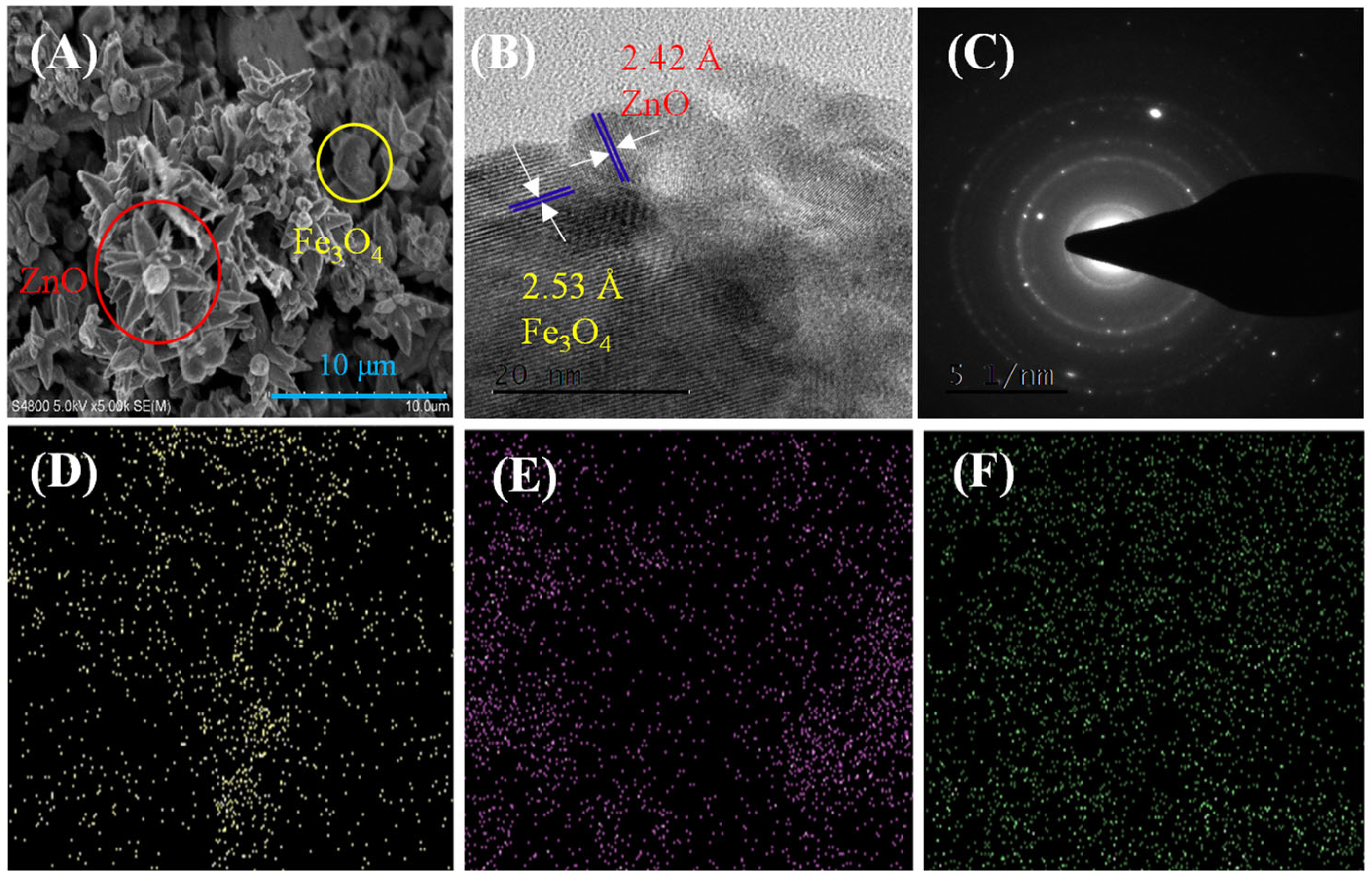 Toxics 12 00040 g002