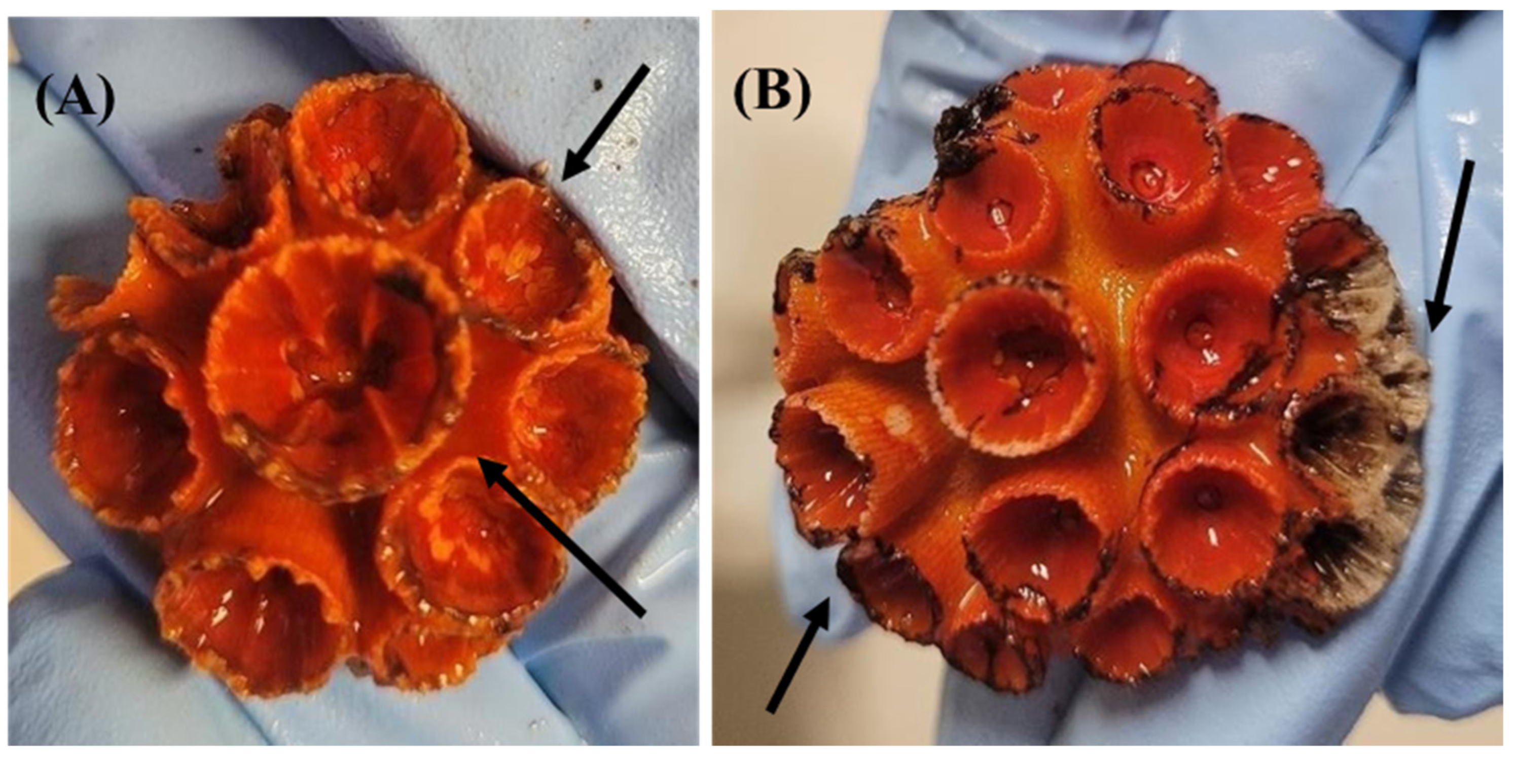 Toxics 12 00044 g002