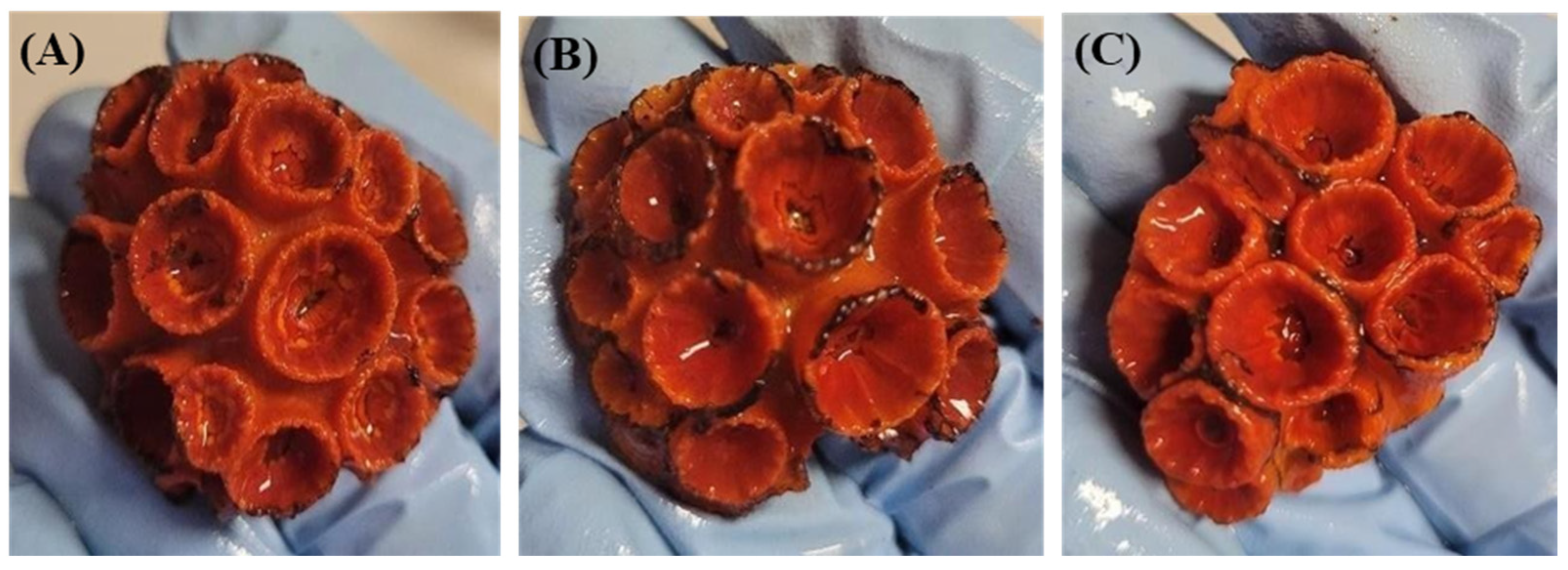 Toxics 12 00044 g003