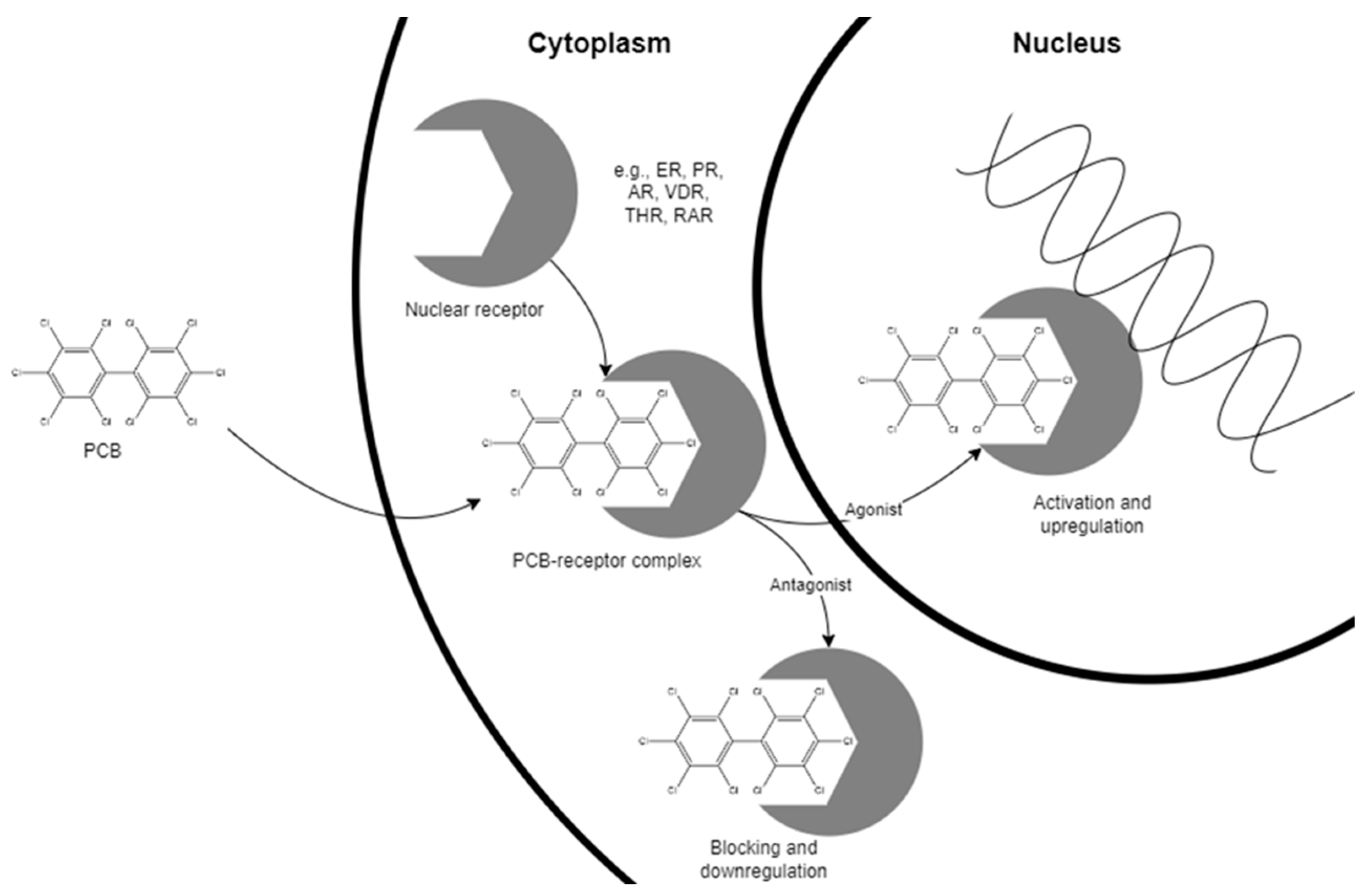 Toxics 12 00049 g002