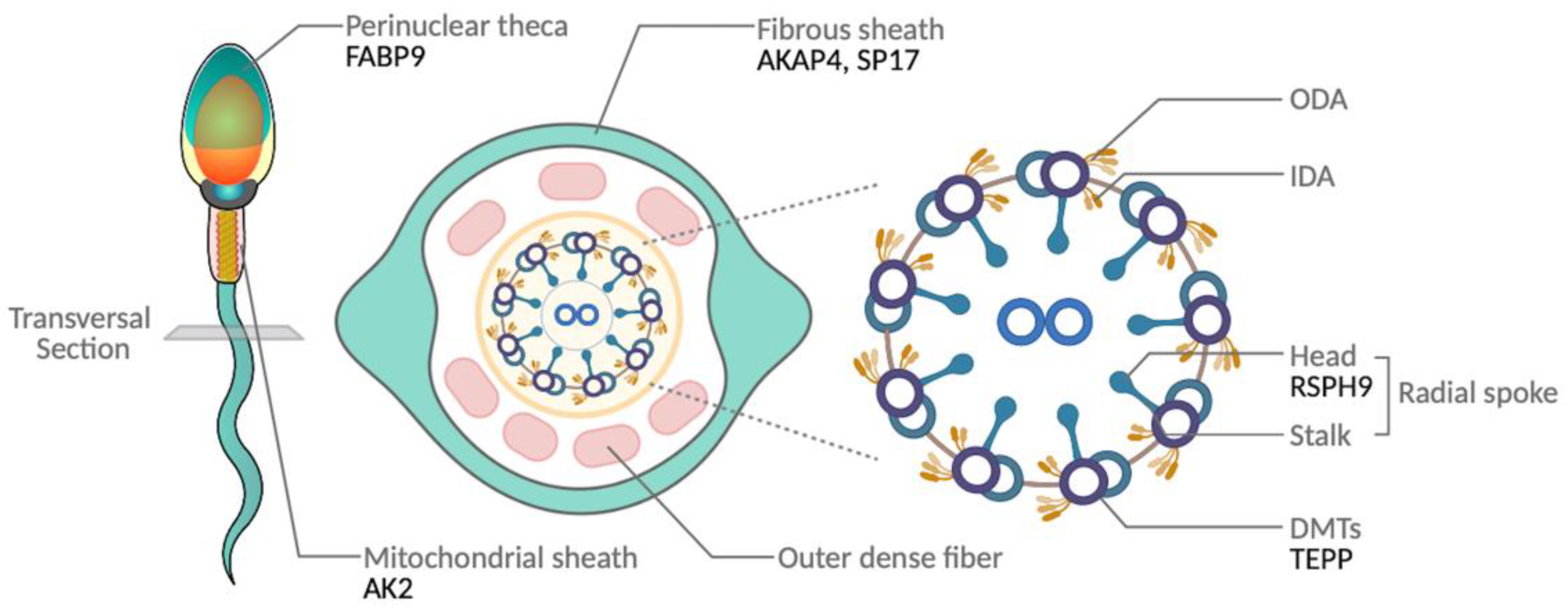 Toxics 12 00053 g006