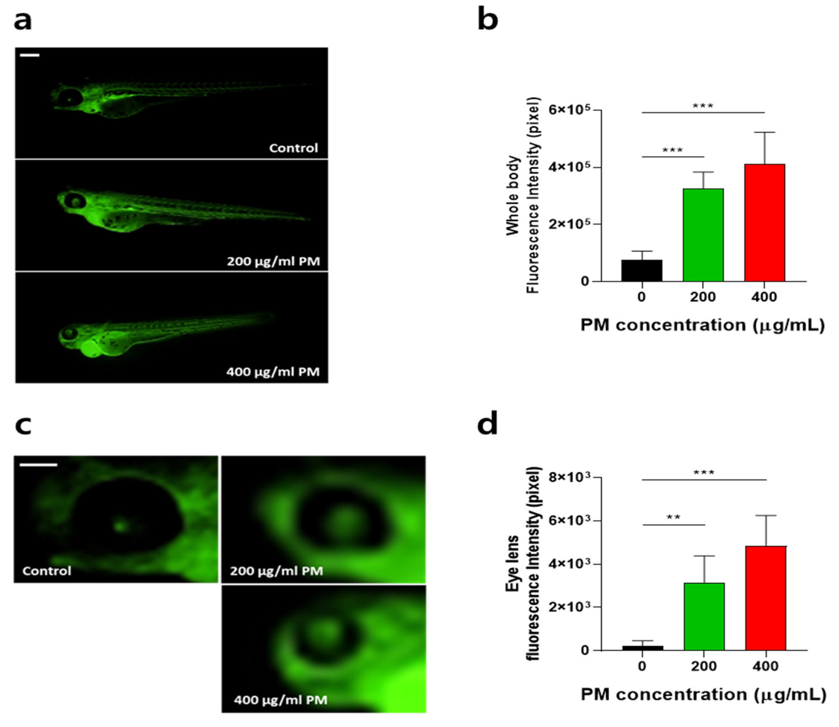 Toxics 12 00059 g003