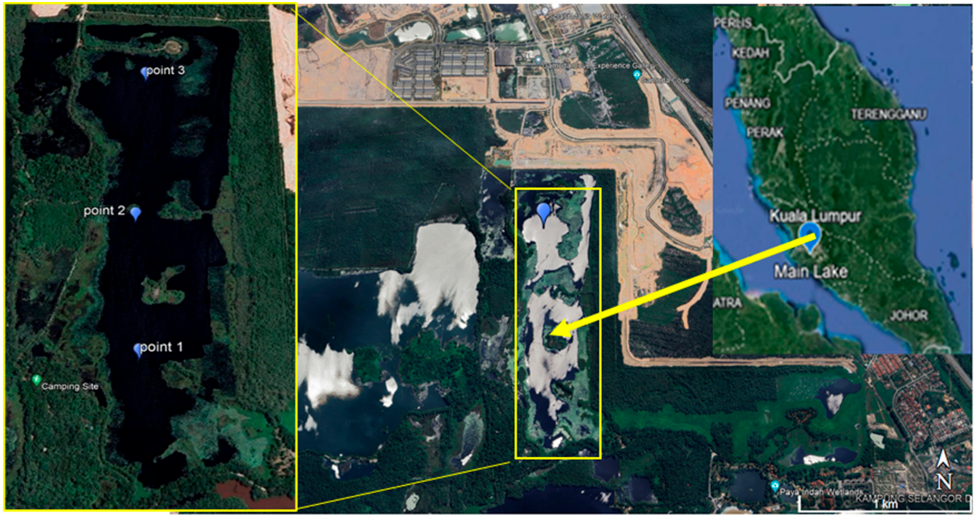 Toxics 12 00060 g001