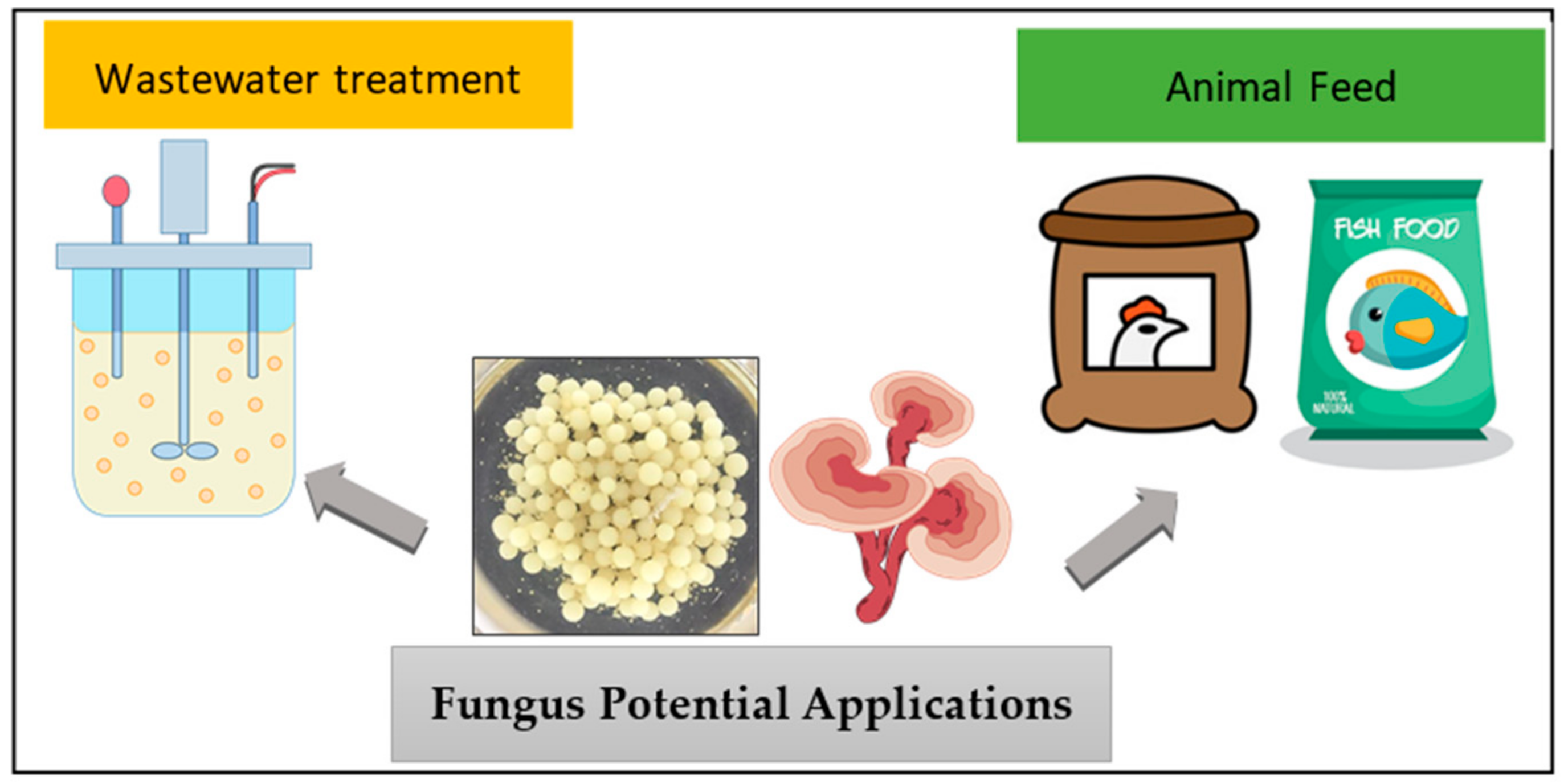 Toxics 12 00060 g005