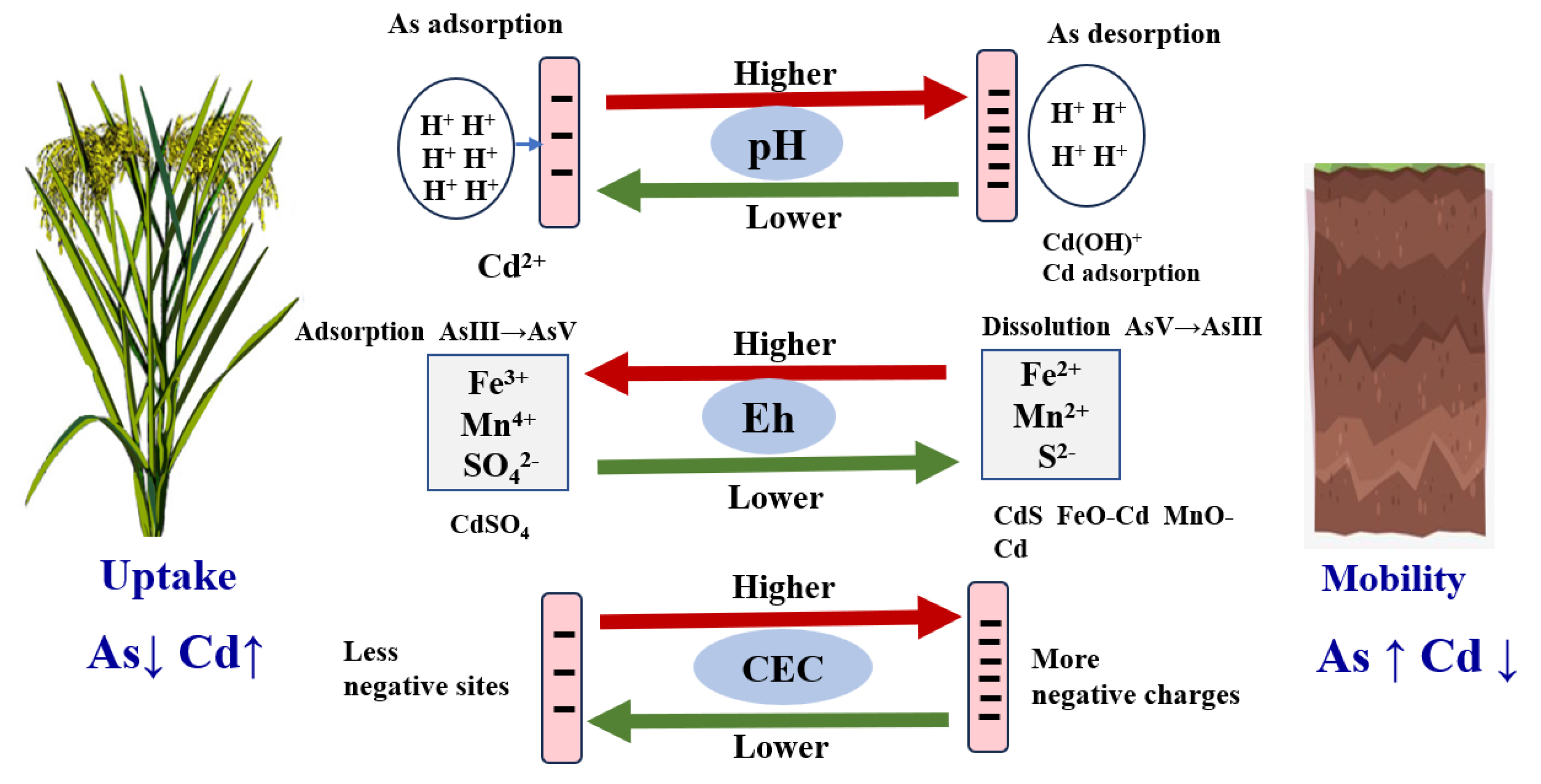 Toxics 12 00063 g002