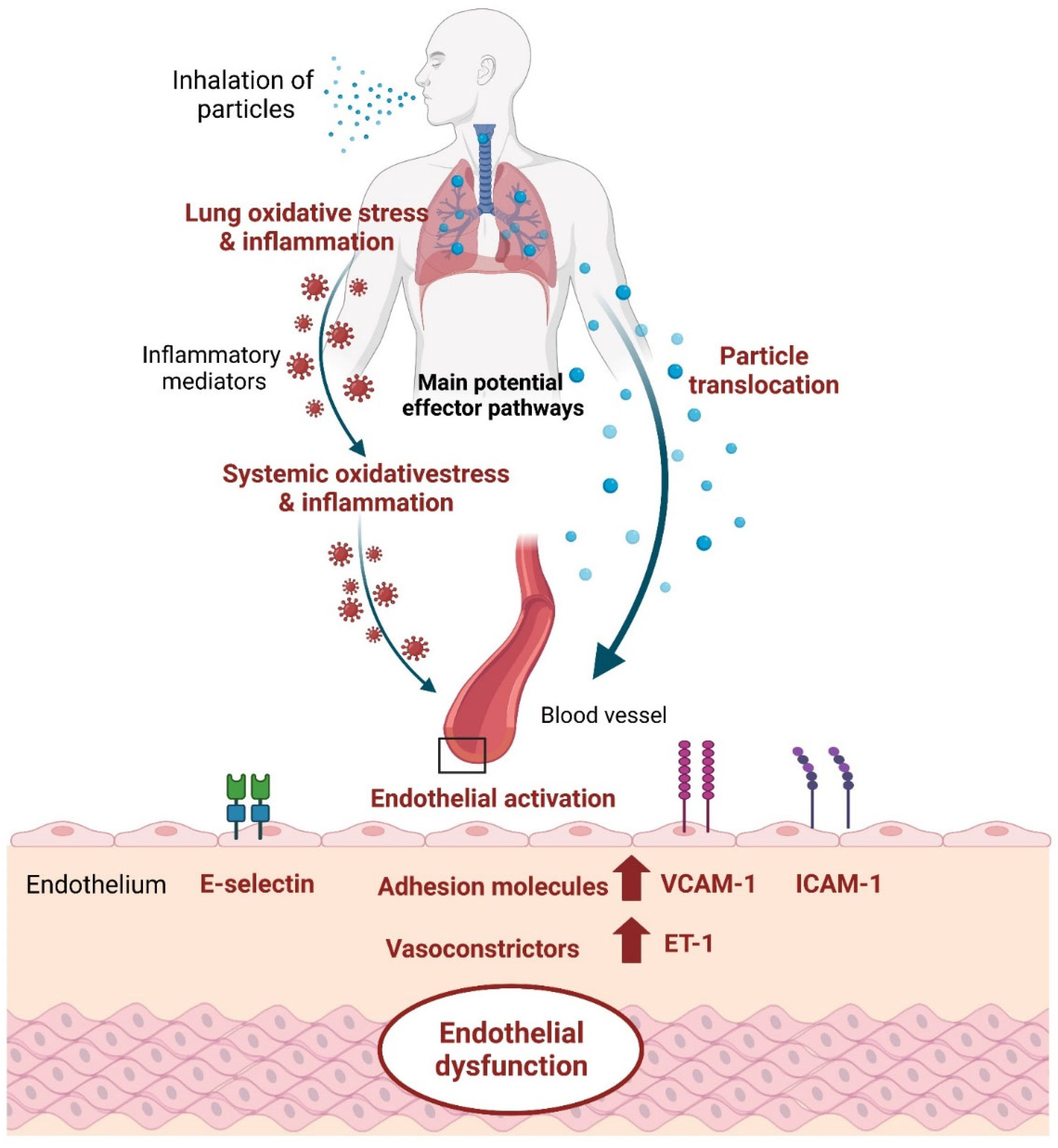 Toxics 12 00076 g003
