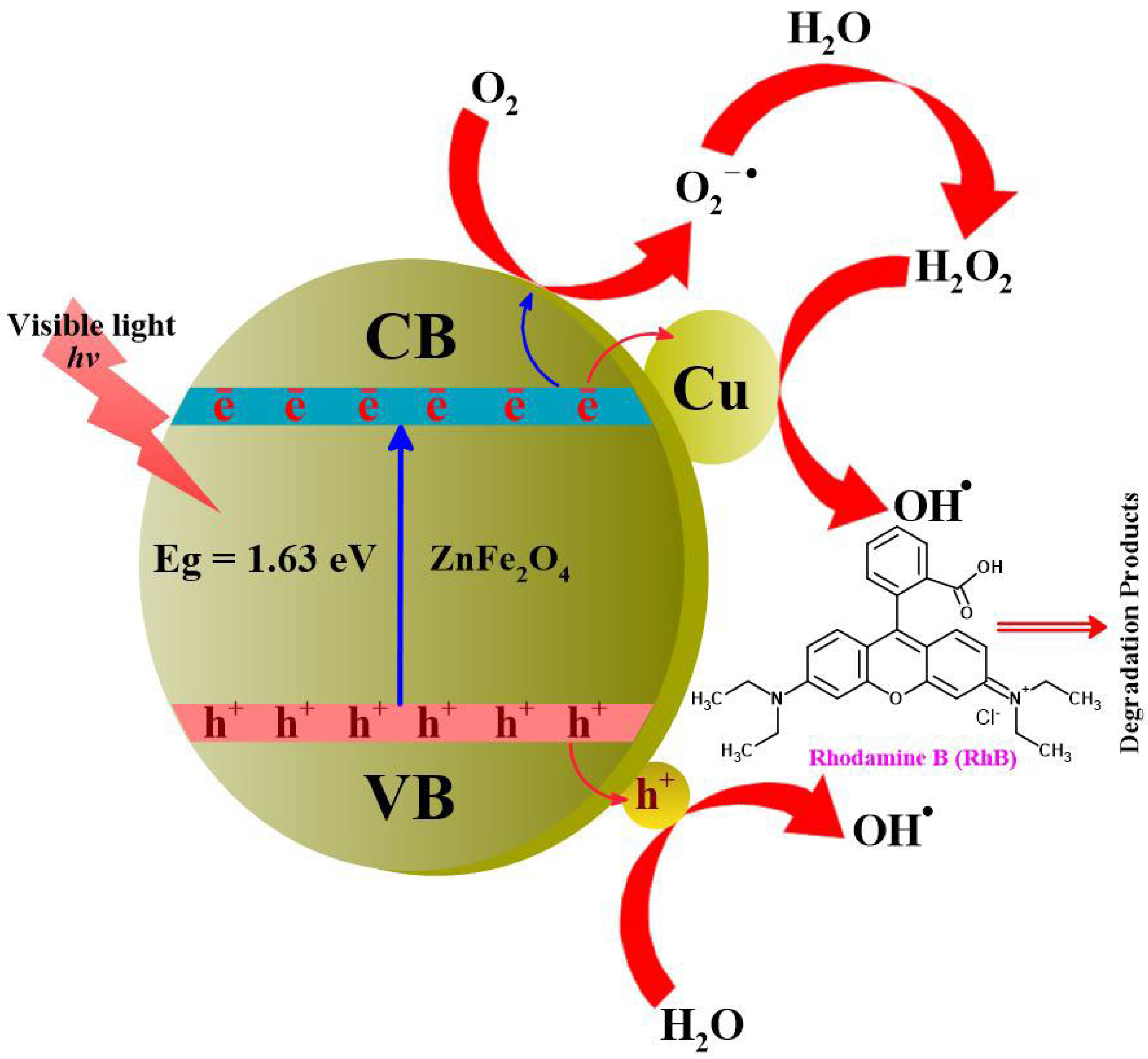 Toxics 12 00077 g014