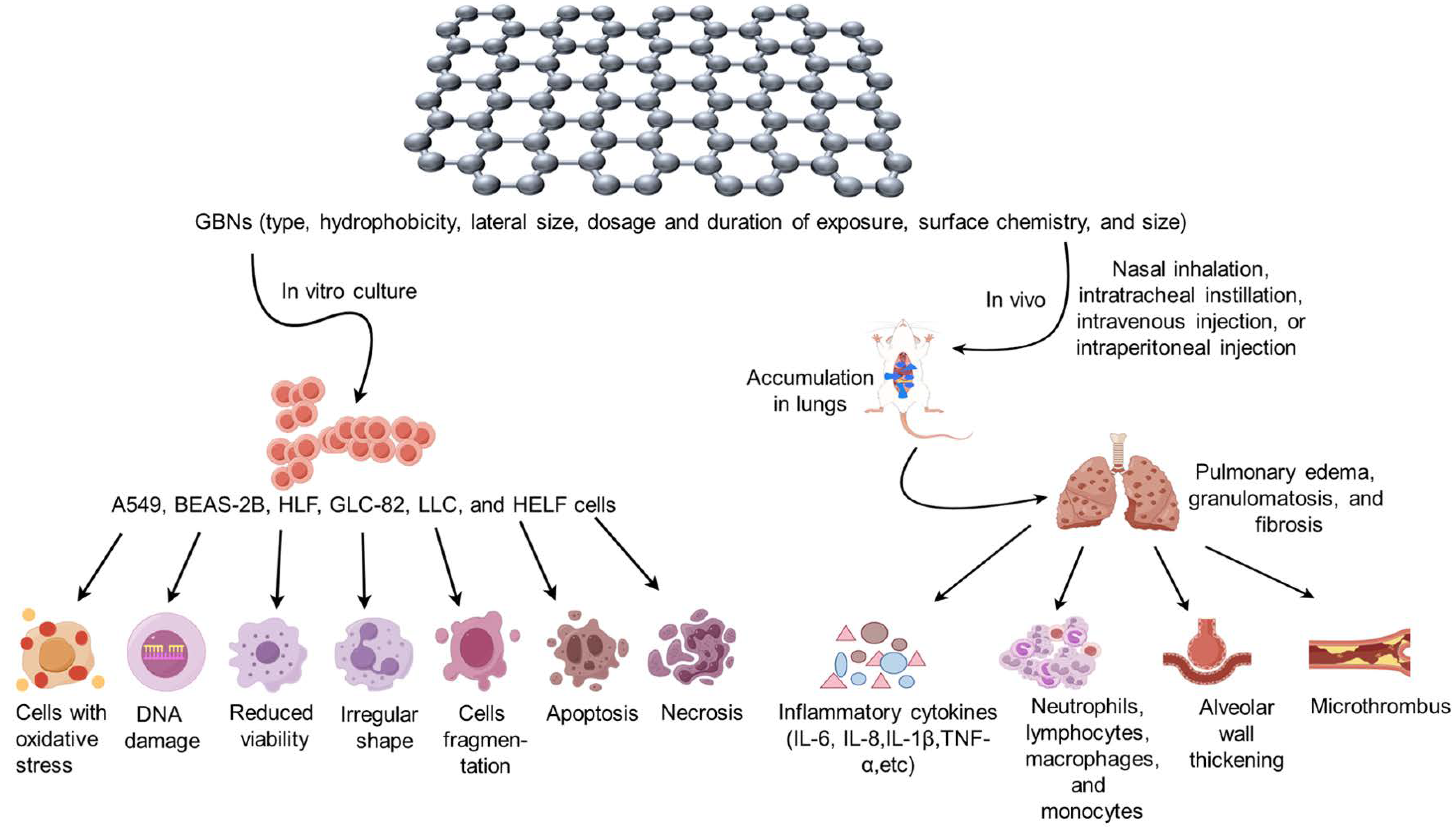 Toxics 12 00082 g001