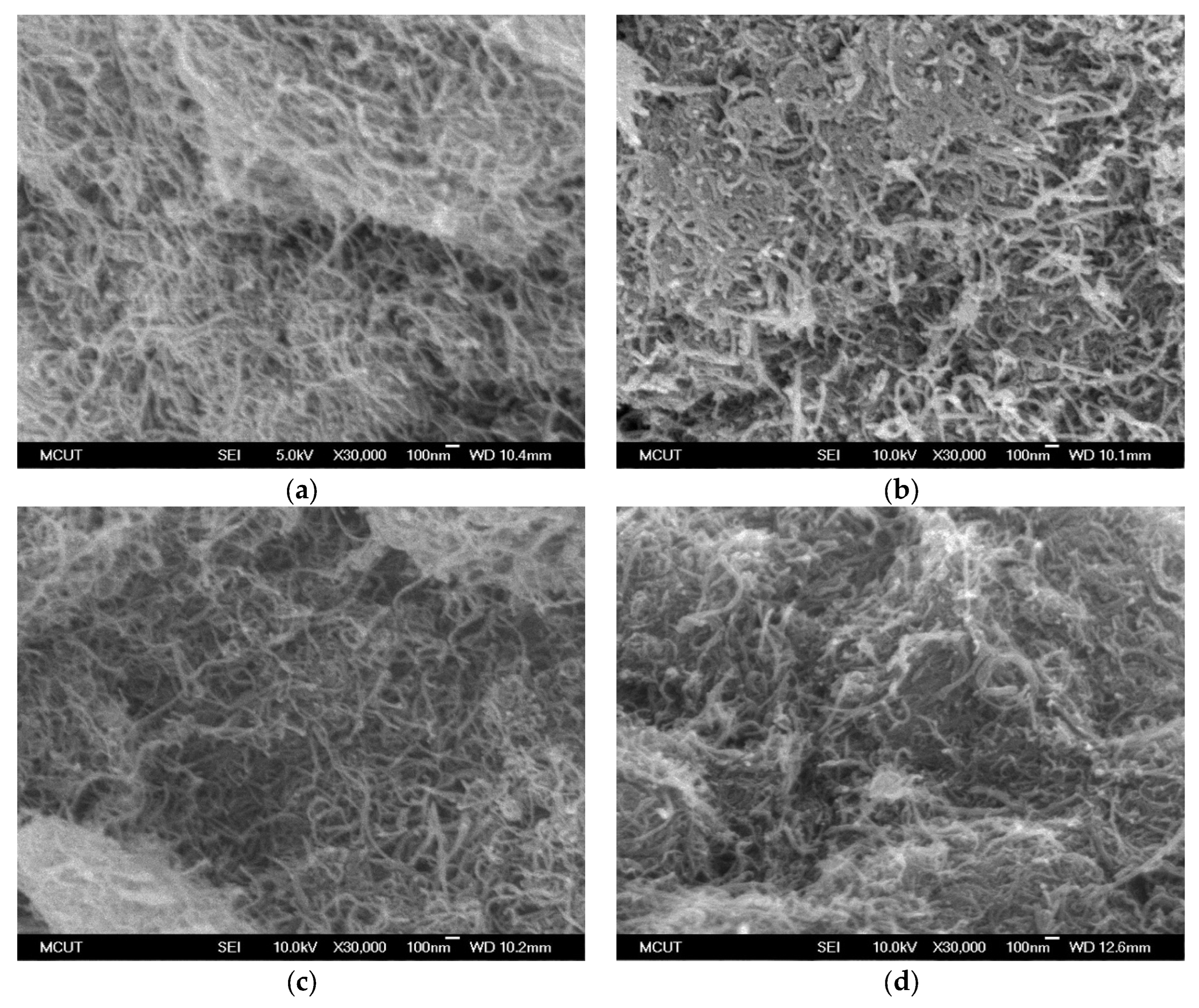 Toxics 12 00088 g007