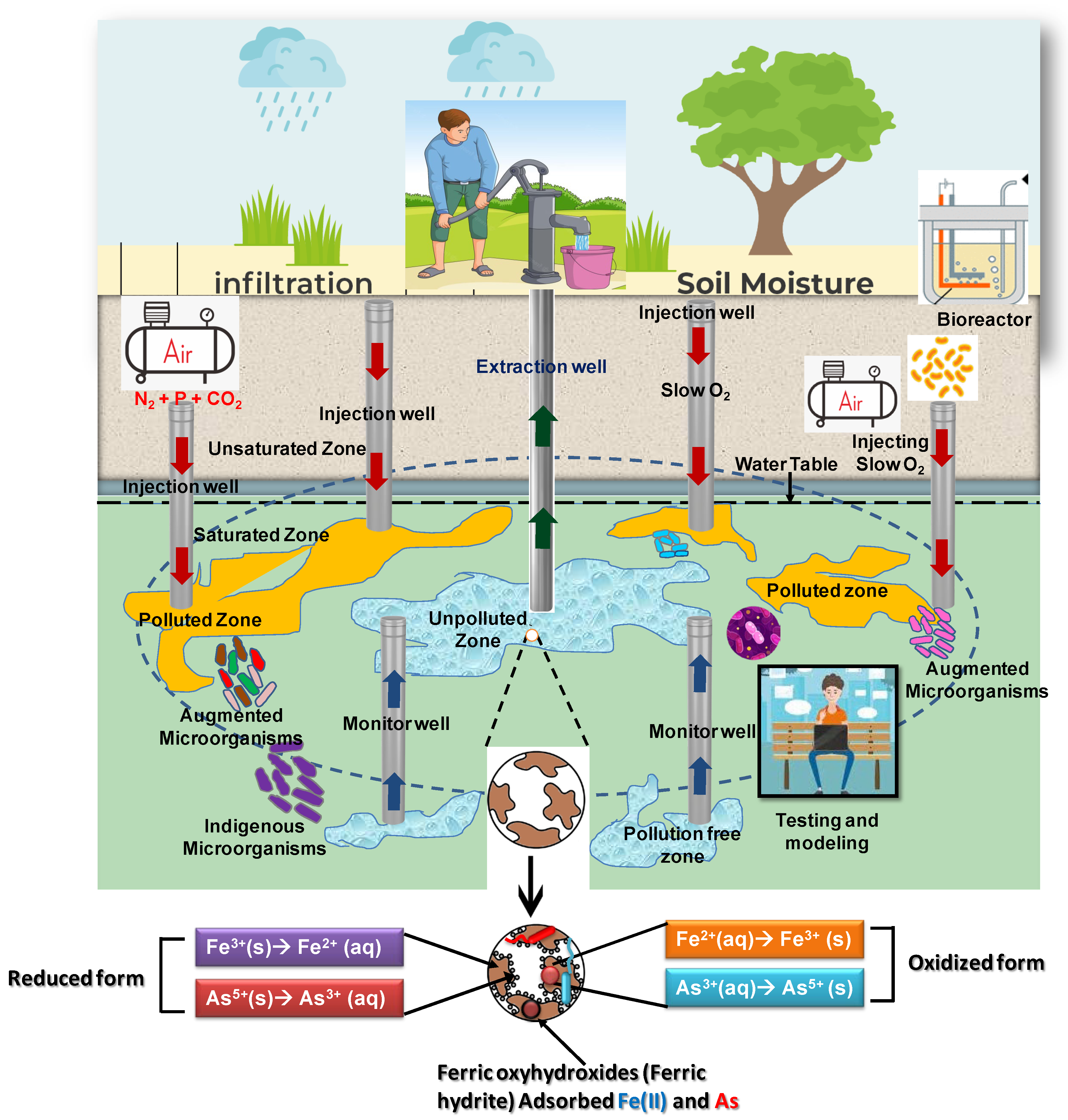 Toxics 12 00089 g011
