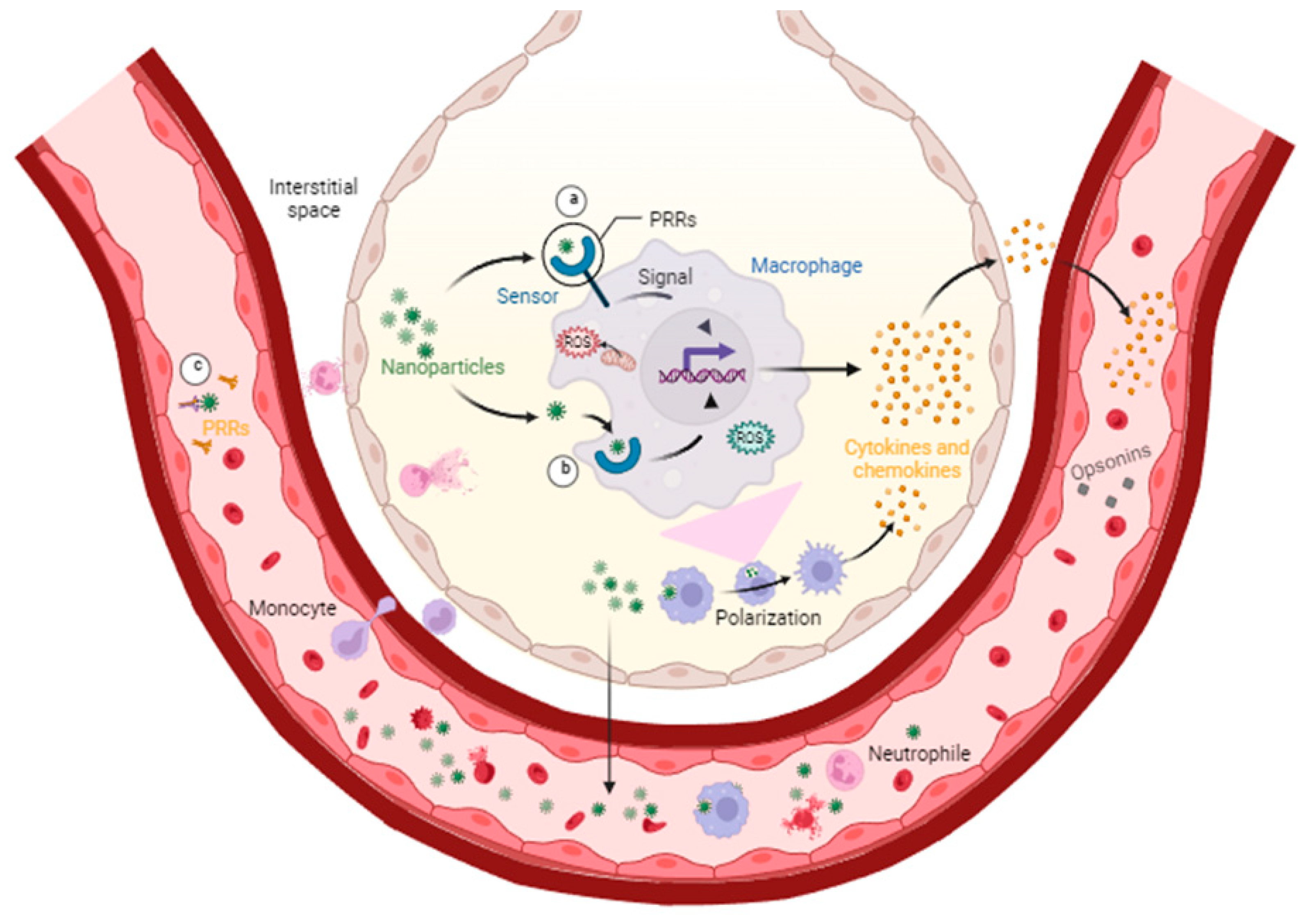 Toxics 12 00092 g001