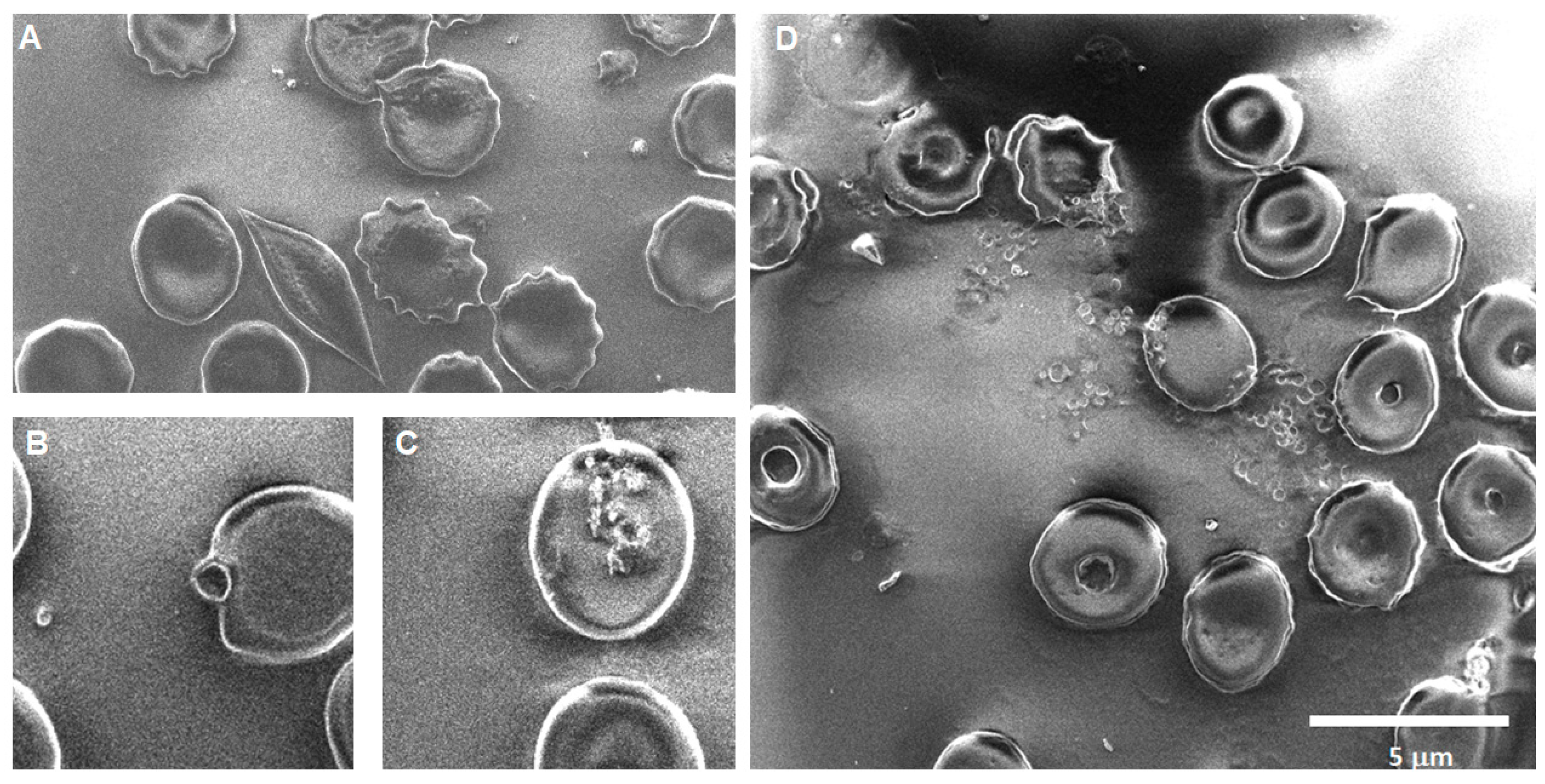 Toxics 12 00092 g006