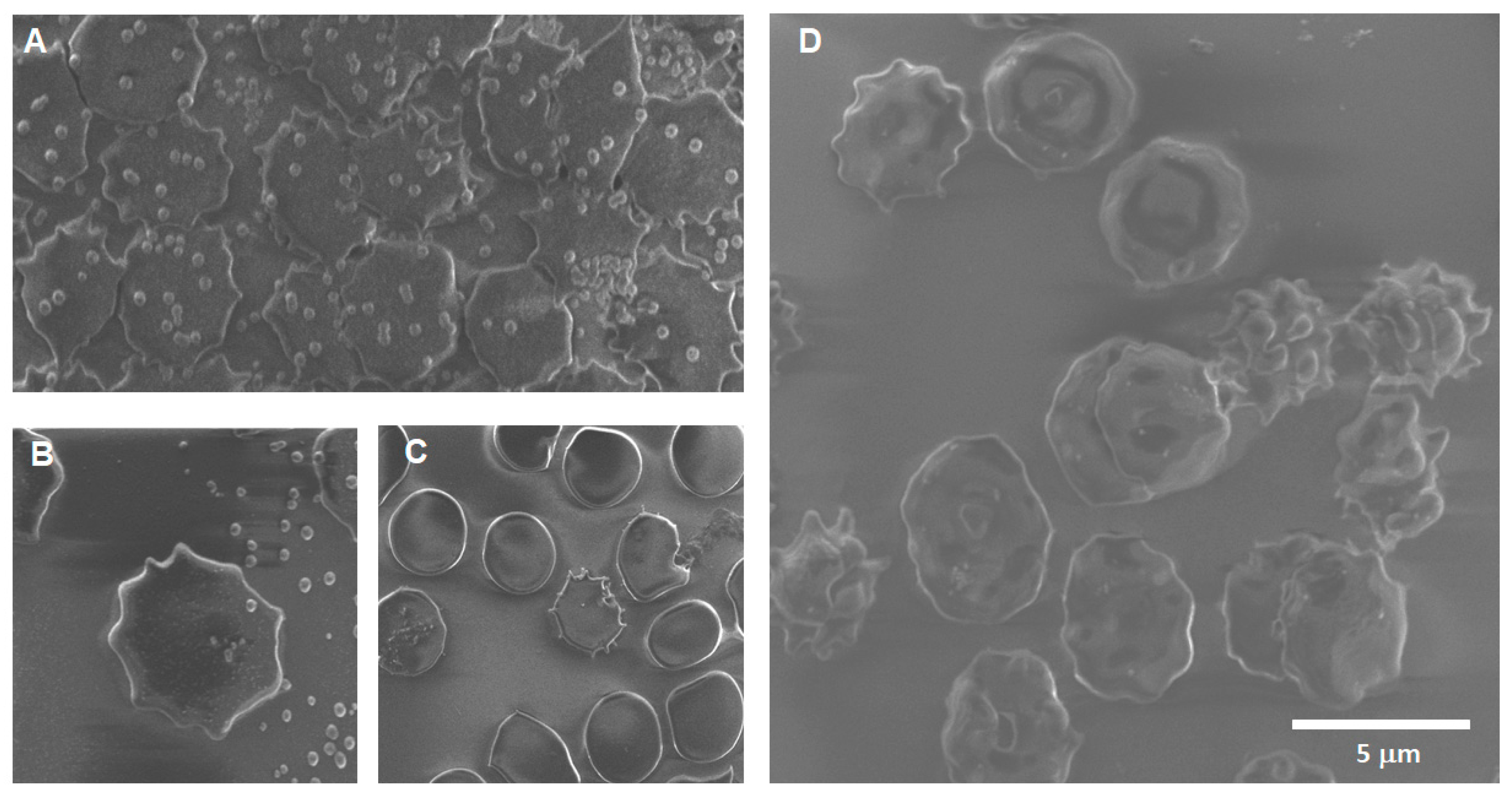 Toxics 12 00092 g007