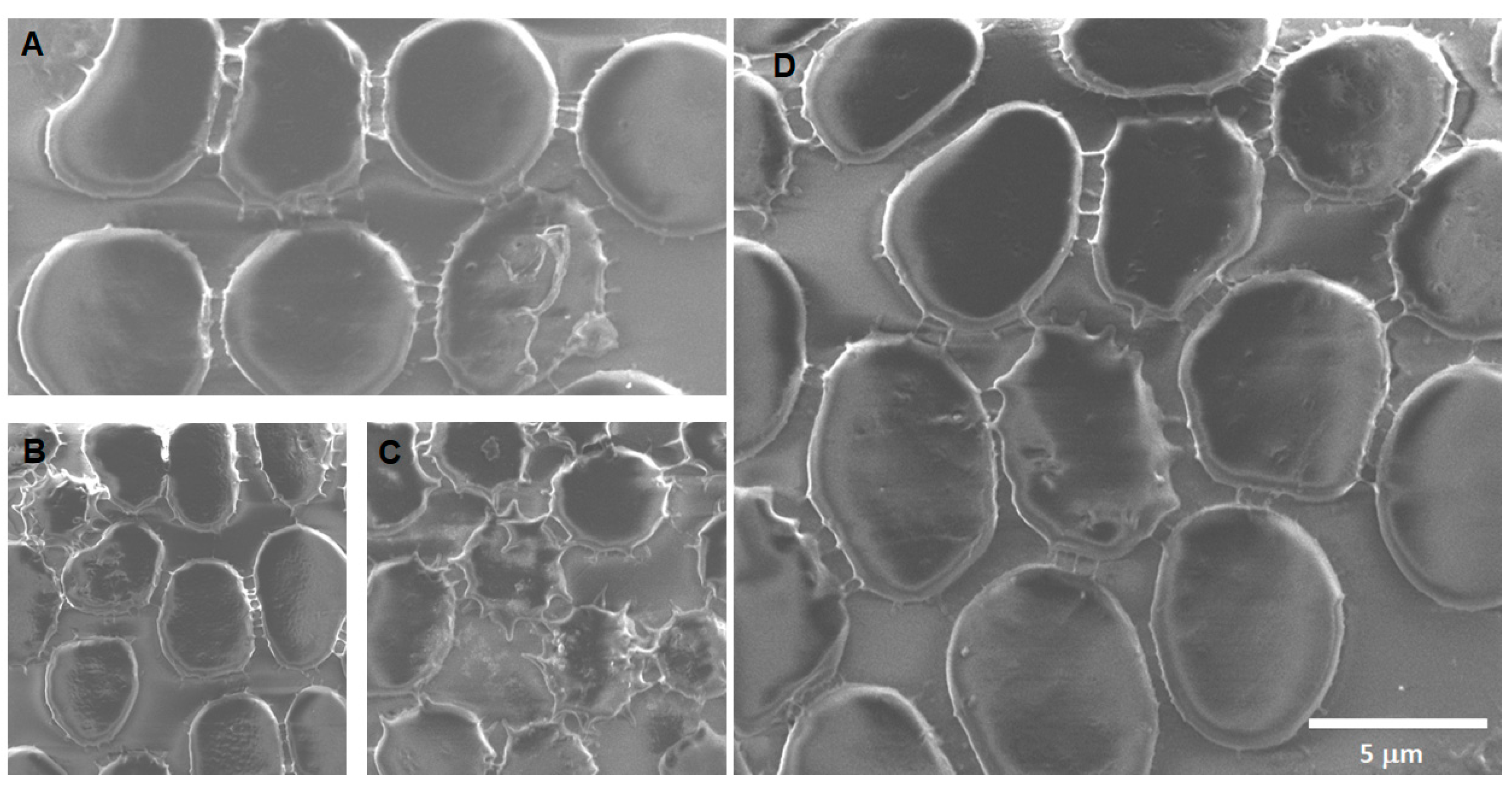 Toxics 12 00092 g009